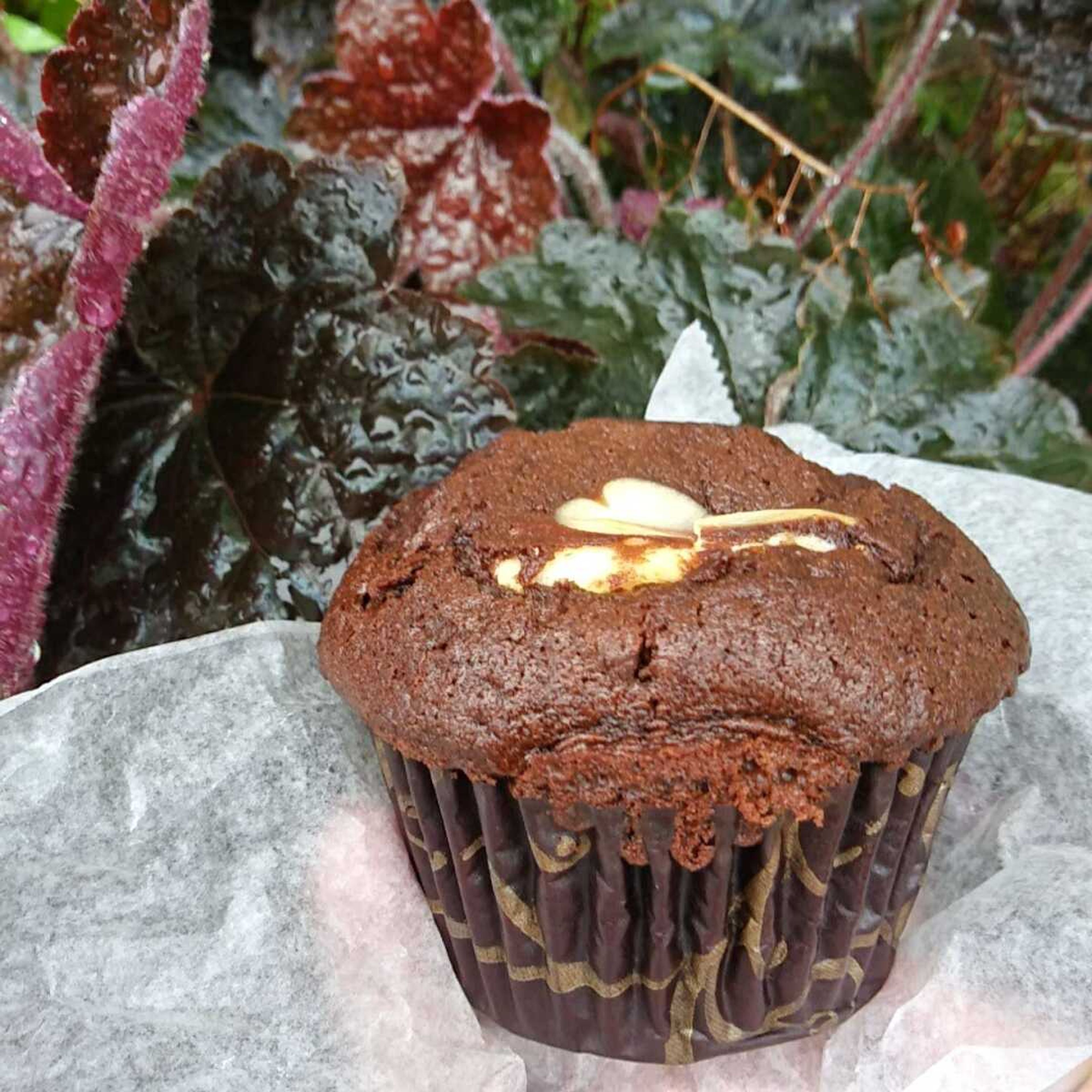 The chocolate cheesecake muffin from the Cheesecake Ninja is rich wonderfulness in every bite and absolutely as good as it looks.