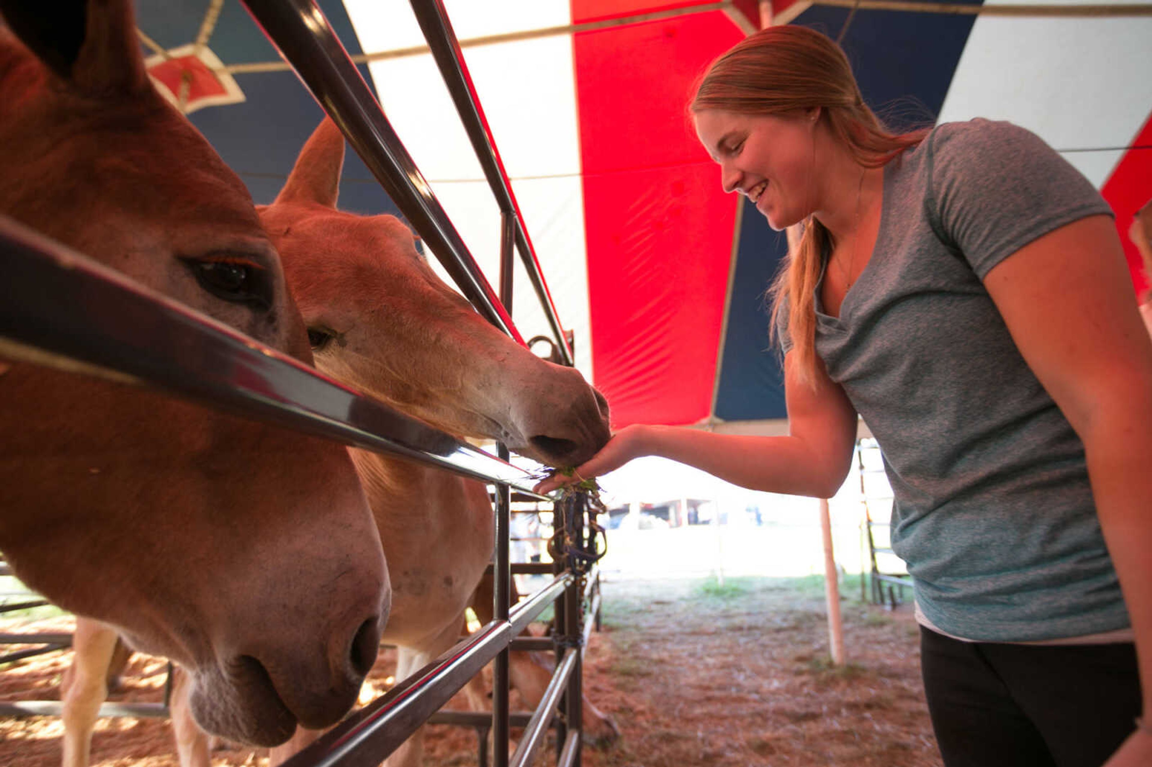 GLENN LANDBERG ~ glandberg@semissourian.com


Seirra Seiler hands a mule a snack during the SEMO District Fair Wednesday, Sept. 16, 2015, in Cape Girardeau.