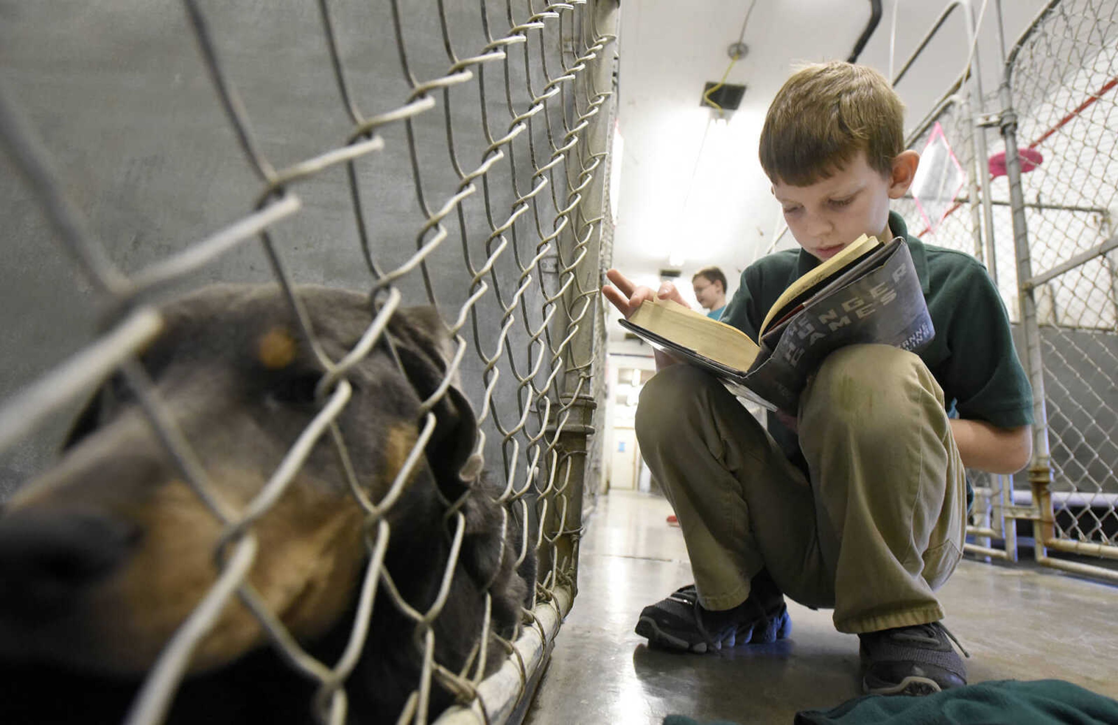 William Lewis reads to puppies on Thursday, March 2, 2017, at the Humane Society of Southeast Missouri. (Laura Simon)