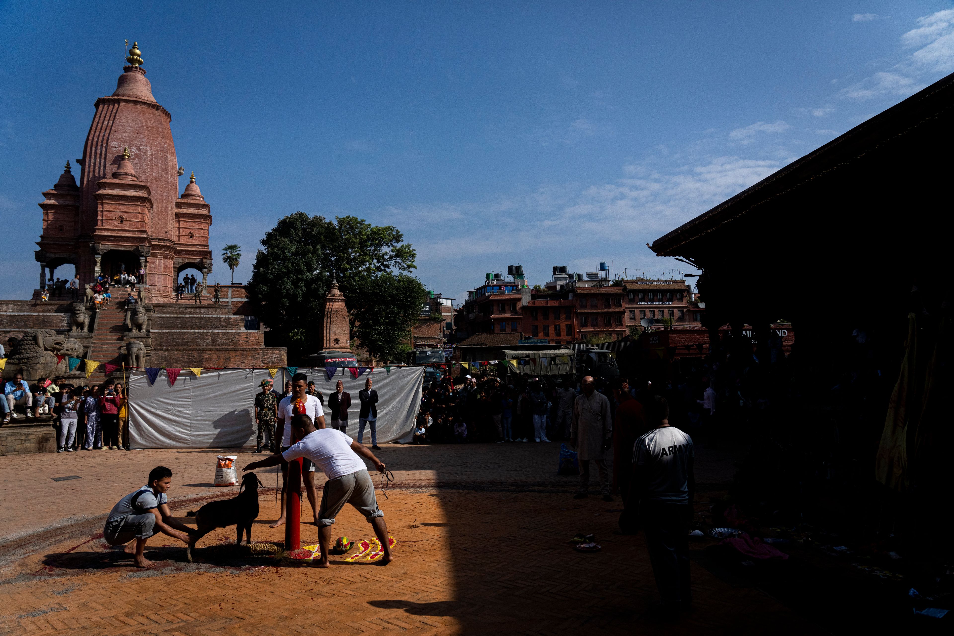 Army personnel prepare to sacrifice a goat as part of the rituals during Dashain festival in Bhaktapur, Nepal, Friday, Oct. 11, 2024. The festival commemorates the slaying of a demon king by Hindu goddess Durga, marking the victory of good over evil. (AP Photo/Niranjan Shrestha)