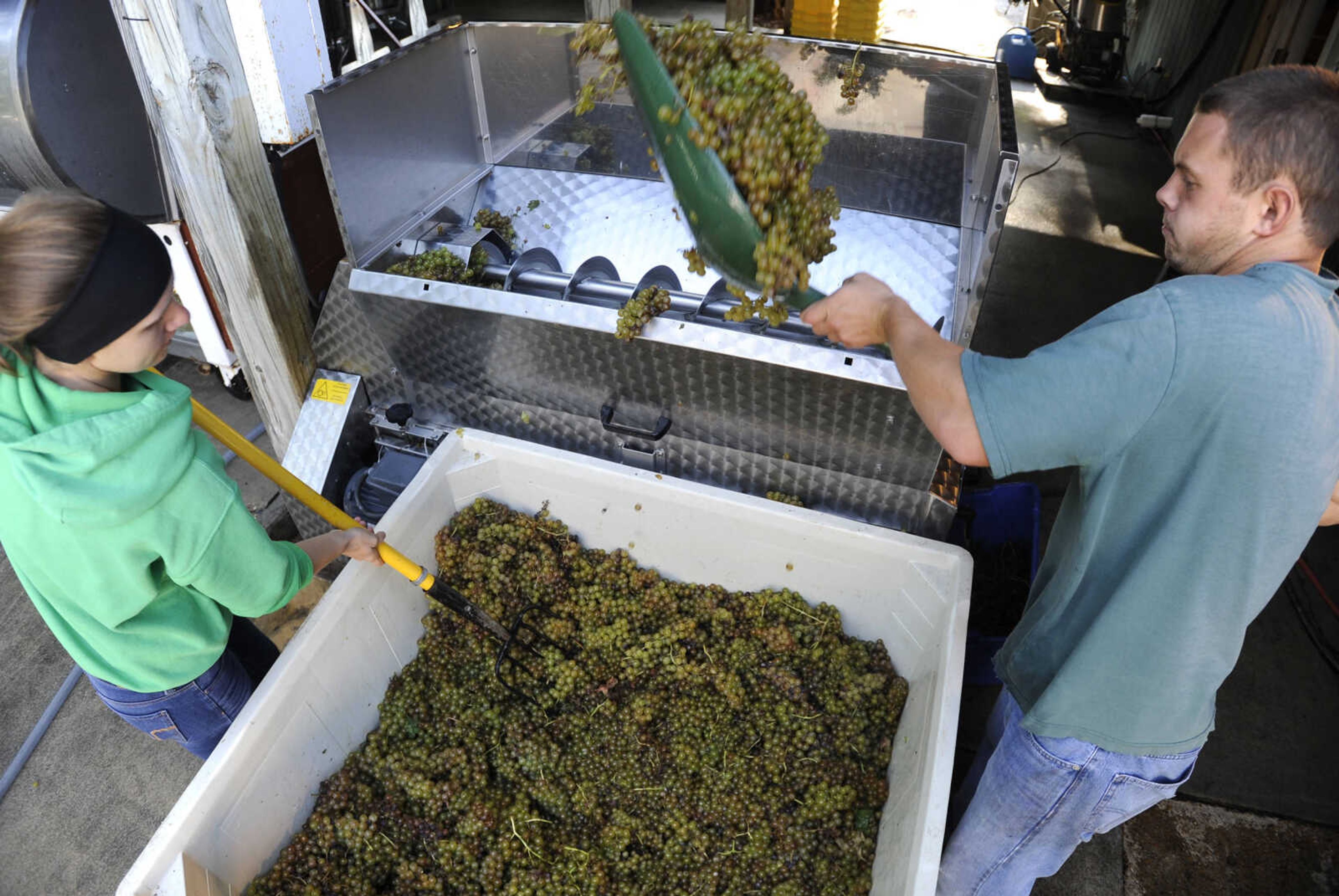 FRED LYNCH ~ flynch@semissourian.com
Heather Tilleweis and Matt Marshall load grapes into the pressing machine at Owl Creek Vineyard.