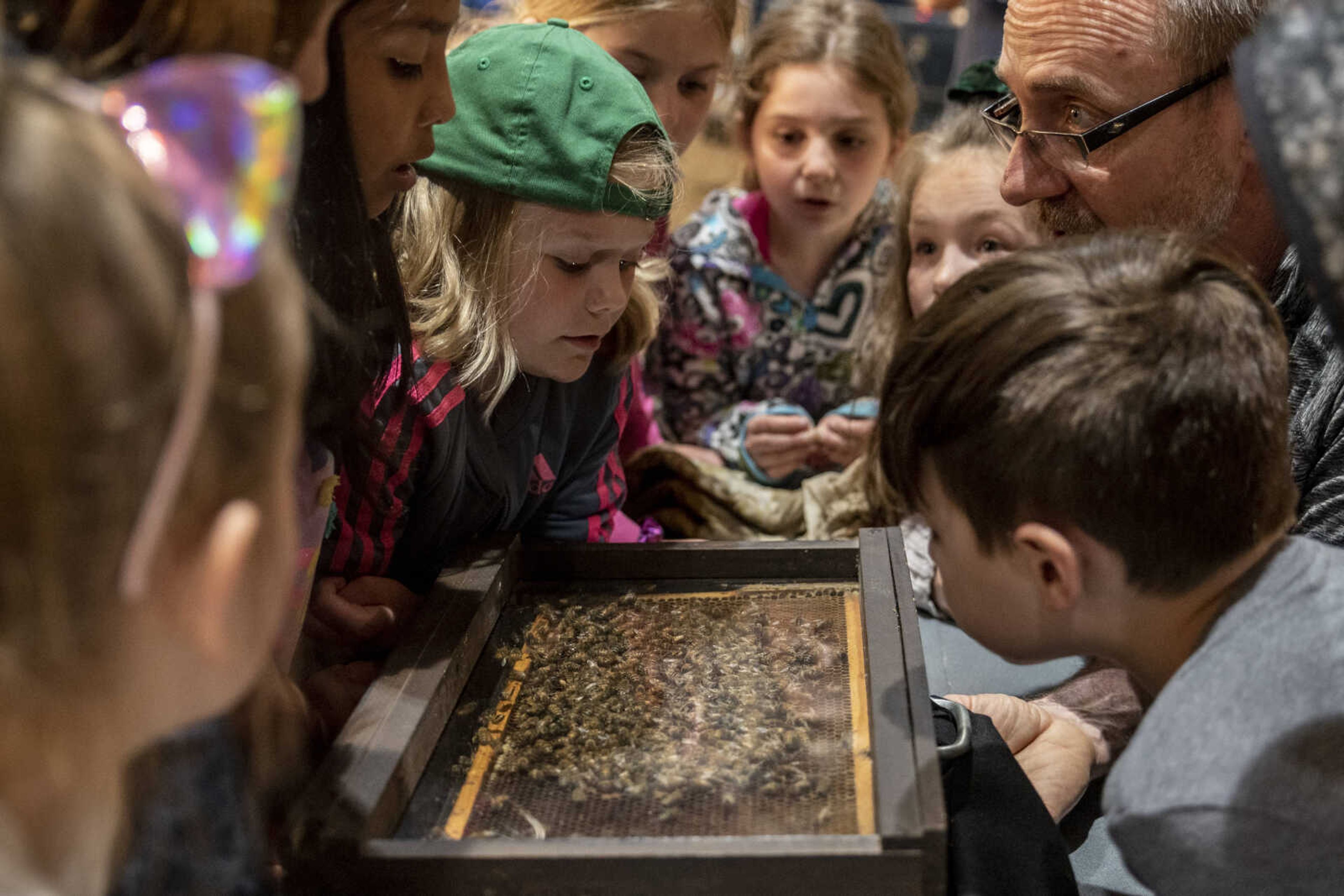 Tayla Hileman, 8, in the green hat, looks at honey bees with her classmates during the 24th annual Farm Day sponsored by the Southeast Missouri Cattlemen's Association at Flickerwood Arena Wednesday, April 24, 2019, in Jackson. Over 800 students attended Farm Day and learned about a variety of farm-related topics from forestry to soil conservation, as well as farm animals and honey bees.