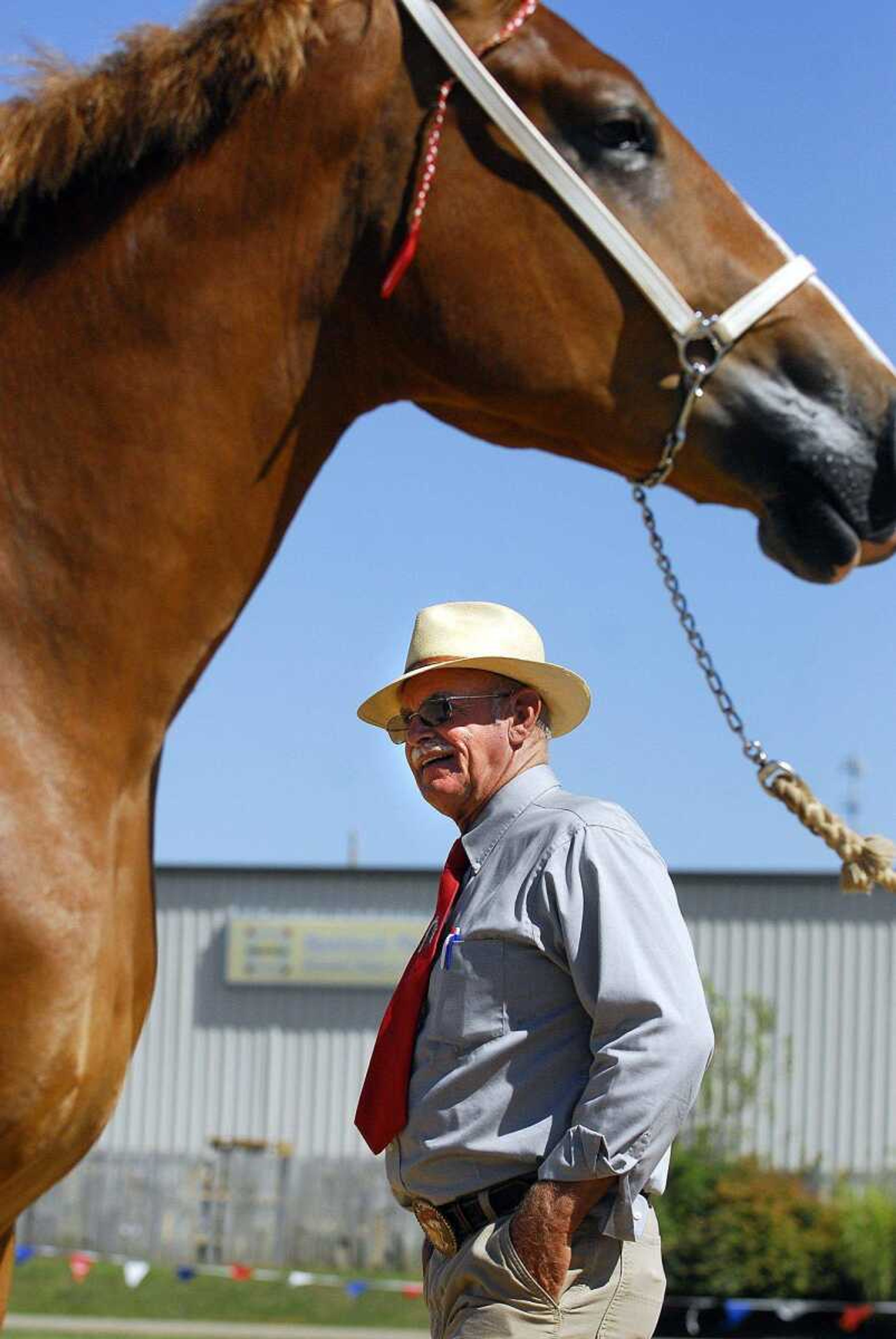 Richard Hays looks over a mare in the 1- to 2-year-old category of the draft horse judging Monday at the SEMO District Fair. Hays has been judging draft horses and mules for nearly 20 years. (Laura Simon)