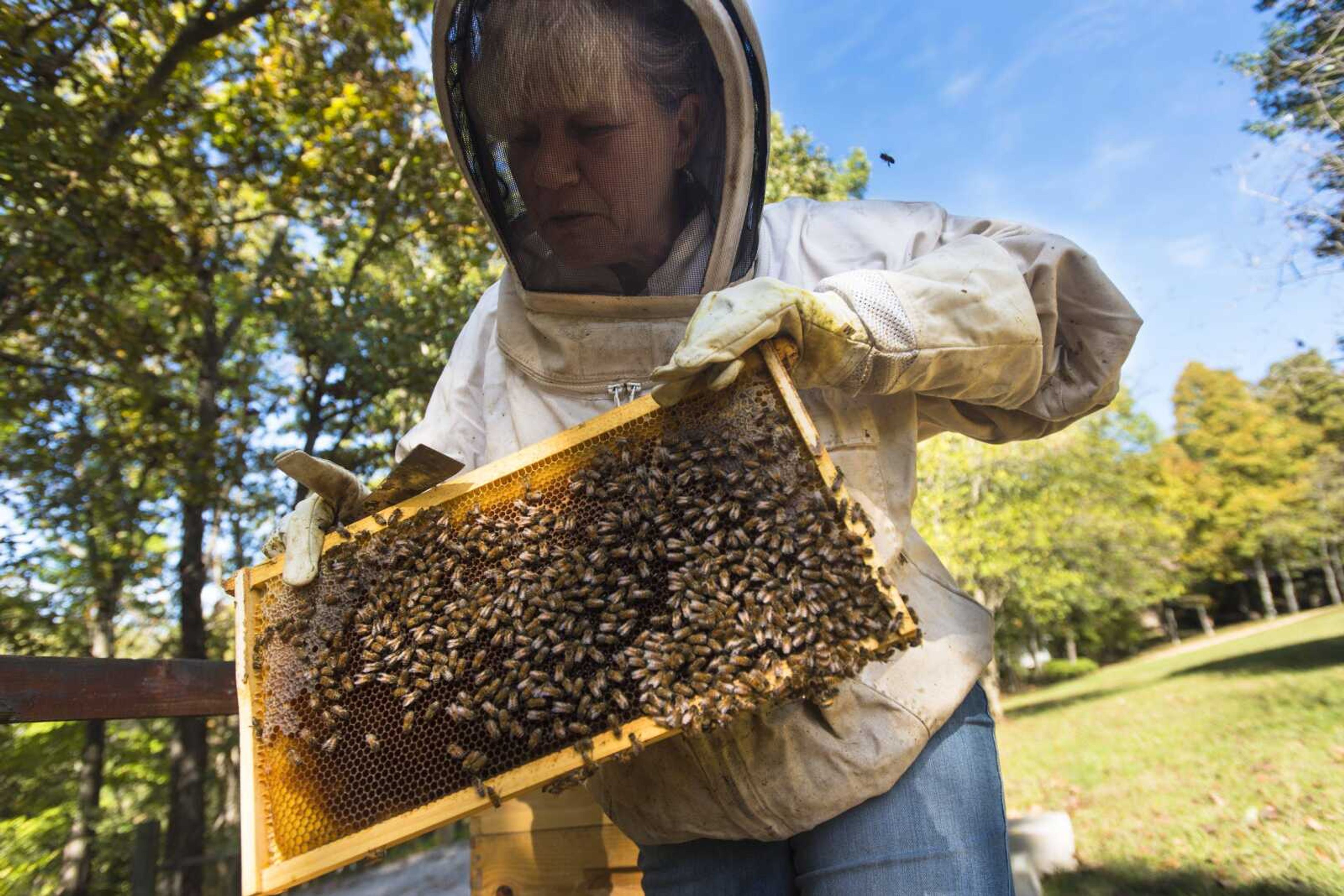 Carmen McNeely tends to her beehives Oct. 17, 2017 at her home in Fruitland.