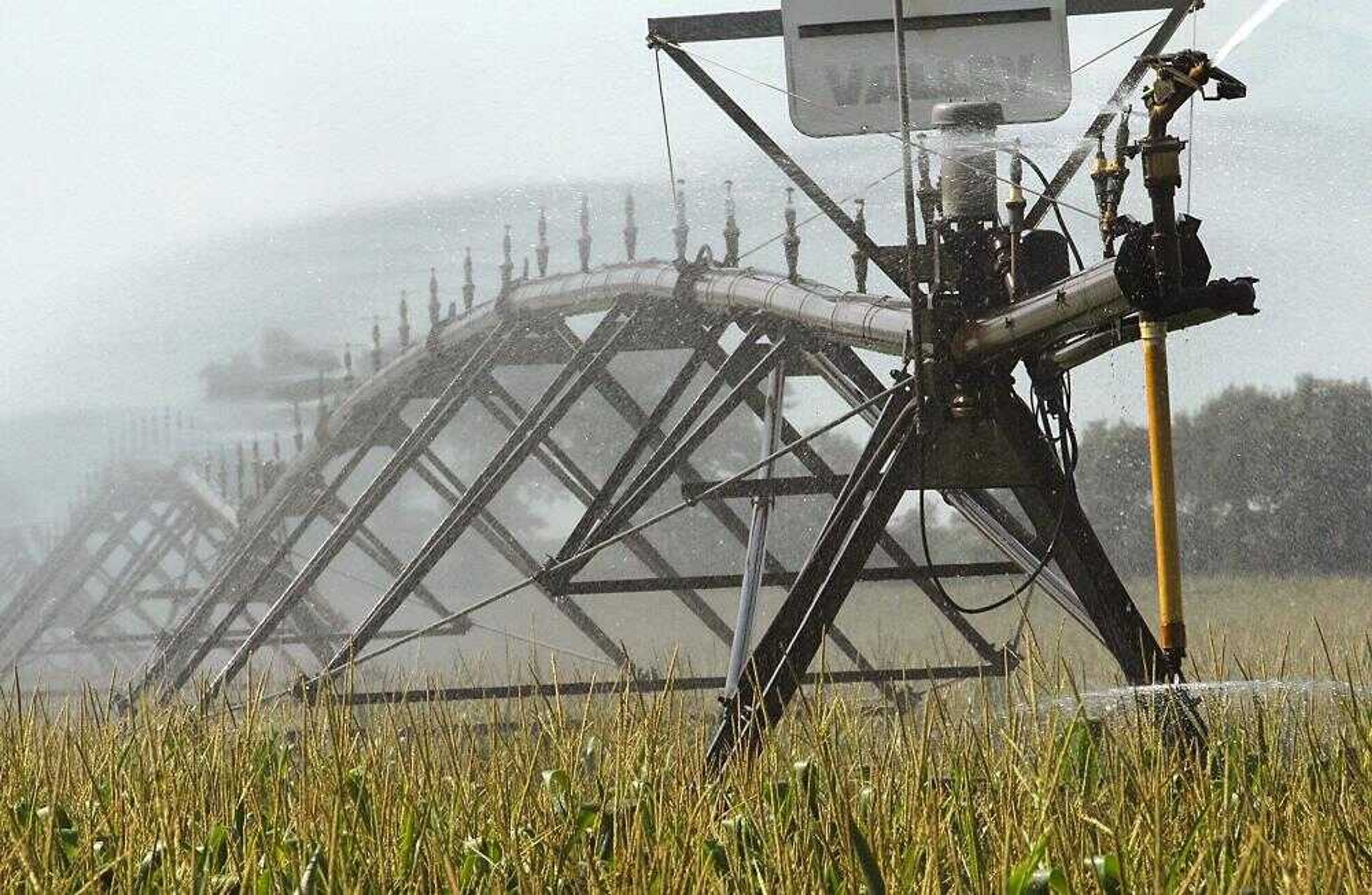 A center pivot irrigation system sprayed water on a corn field in Scott County on Monday. Copper electrical cable that runs along the top can be a target for thieves, as well as the aluminum sprinkler heads. (Fred Lynch)