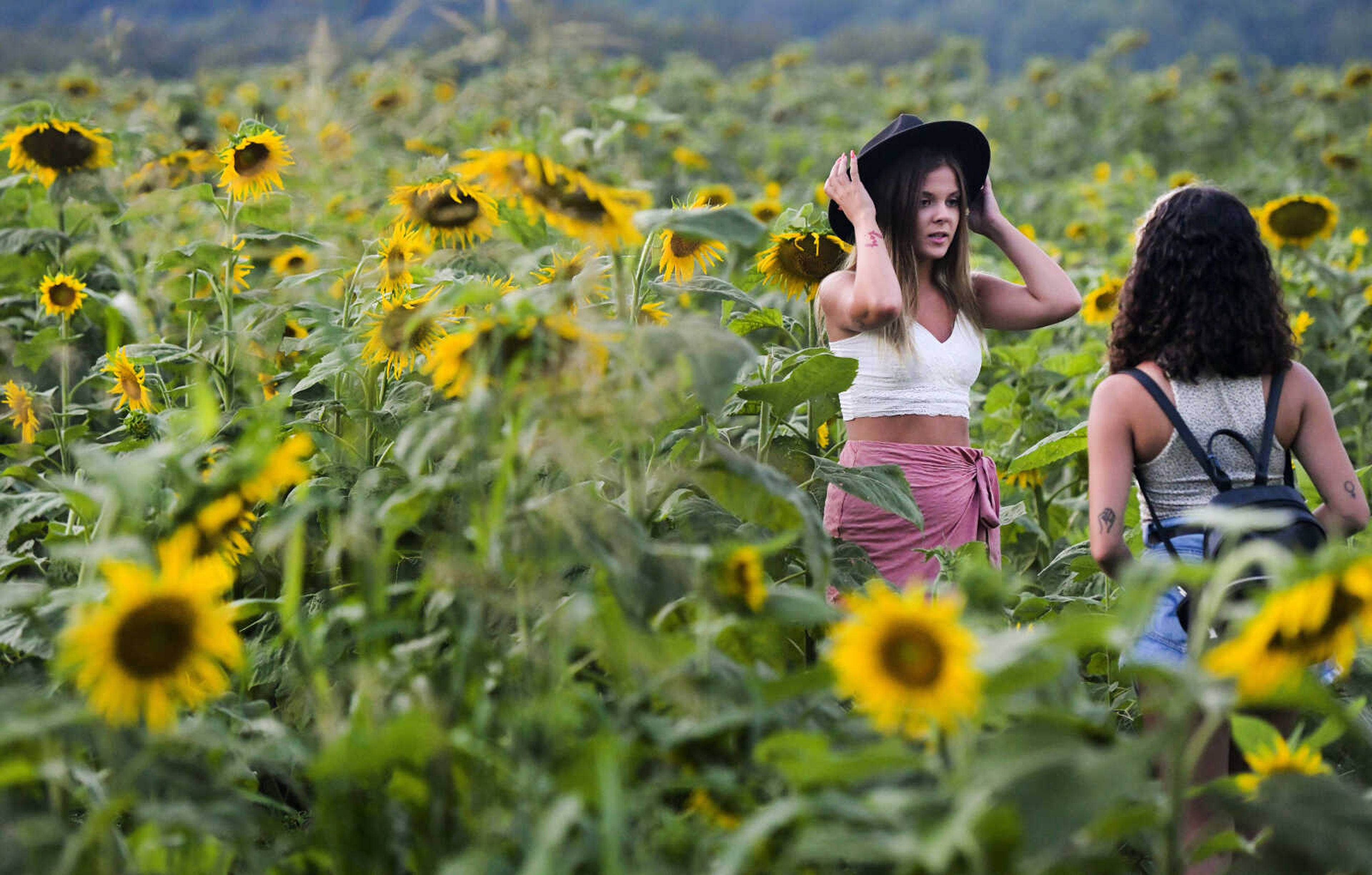 From left, Mollie Lucas adjusts her hat while standing in as a model for her friend and photographer Brieanna Barnett on Wednesday, July 29, 2020, at Maintz Wildlife Preserve in Oak Ridge.