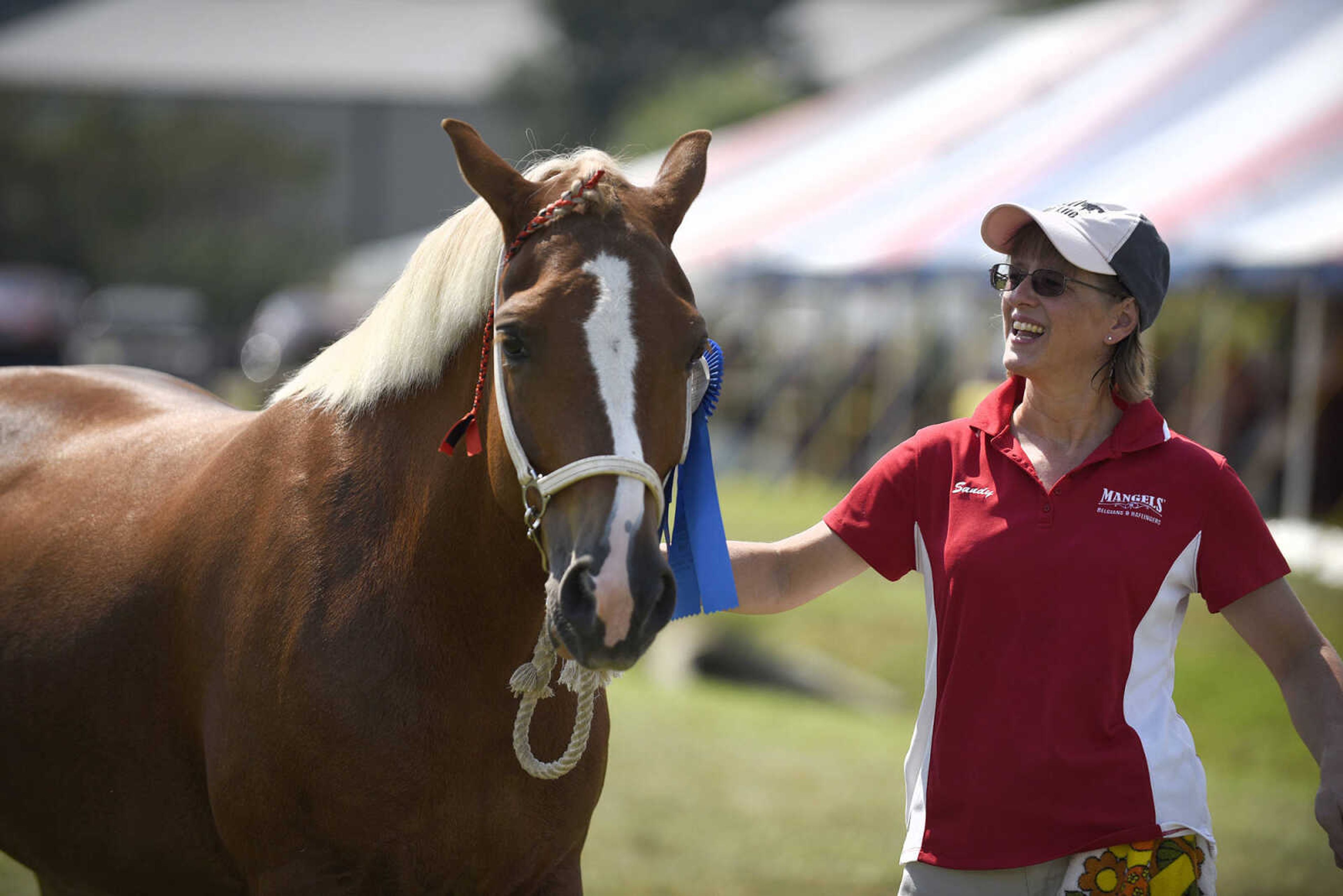 LAURA SIMON ~ lsimon@semissourian.com

People show their draft ponies during the SEMO District Fair on Friday, Sept. 16, 2016, at Arena Park in Cape Girardeau.