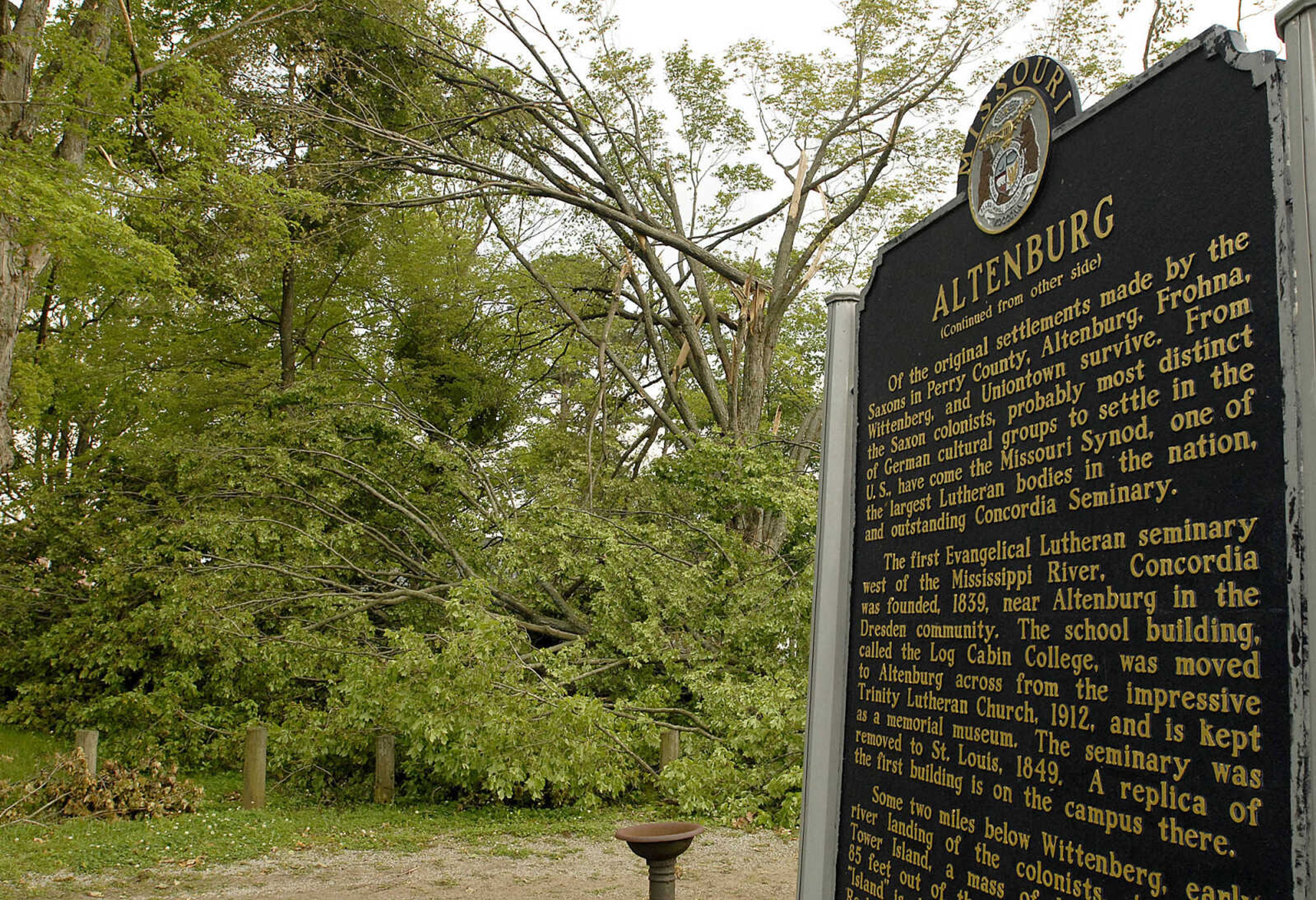 ELIZABETH DODD ~ edodd@semissourian.com
Many trees were uprooted by wind from the May 8 storms in Altenburg.