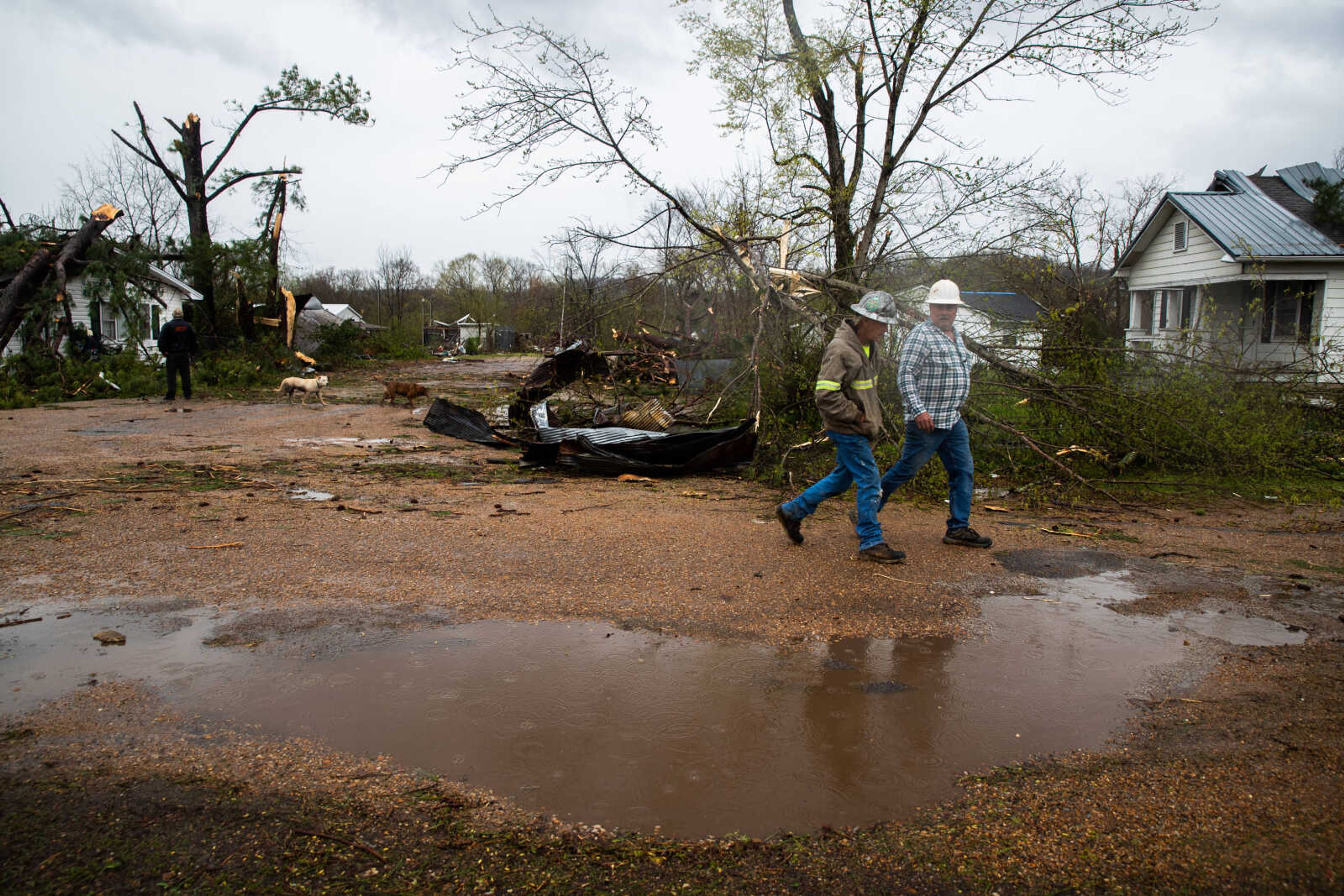 Community members walk&nbsp;Creek Street&nbsp;as they prepare to remove a tree from the roof of the Glen Allen Post Office.