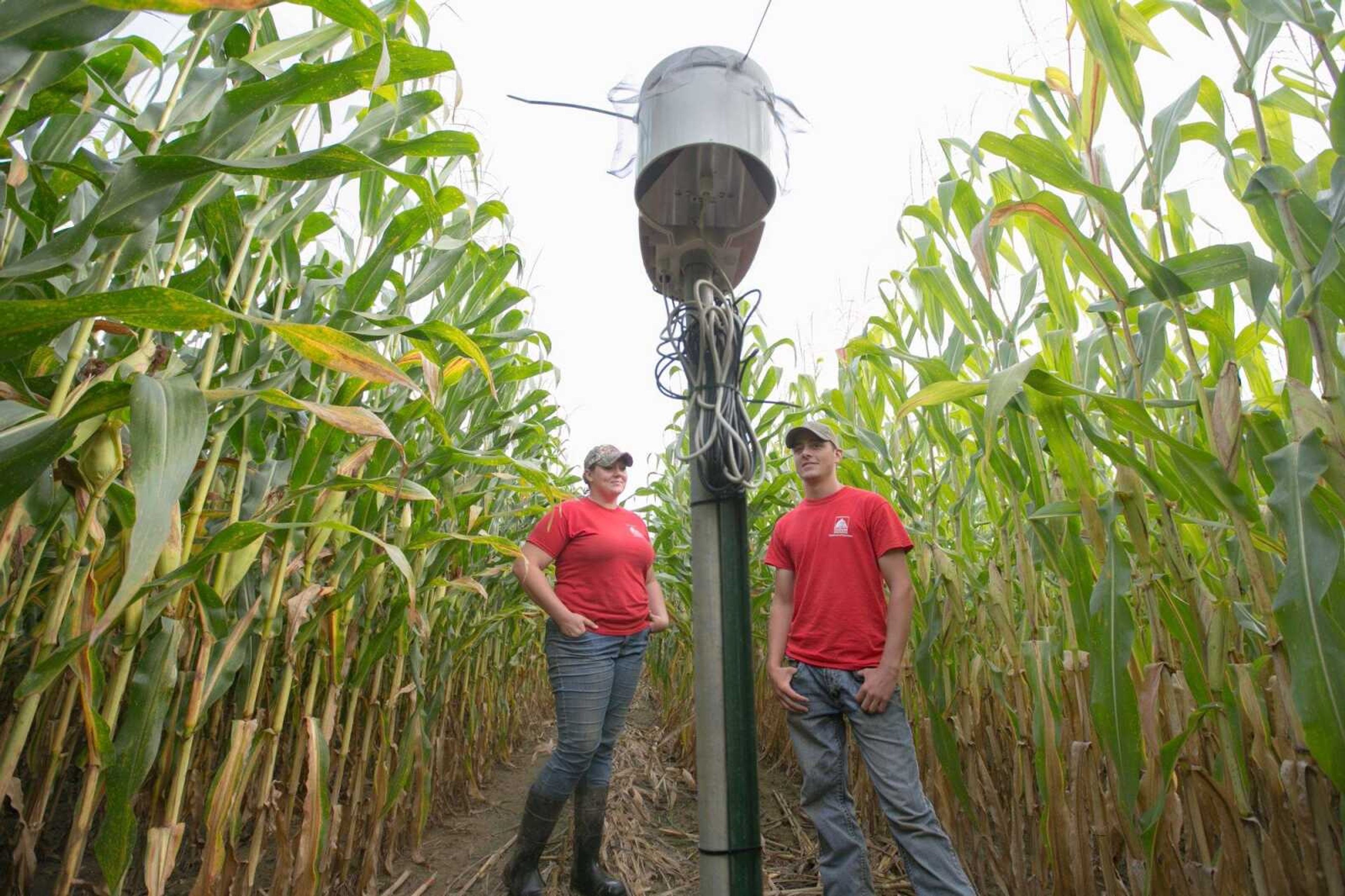 Jessi Stone and Collin Schabbing stand by a soil sensor Aug. 7 in a corn field at the David M. Barton Agriculture Research Center near Gordonville. (Glenn Landberg)