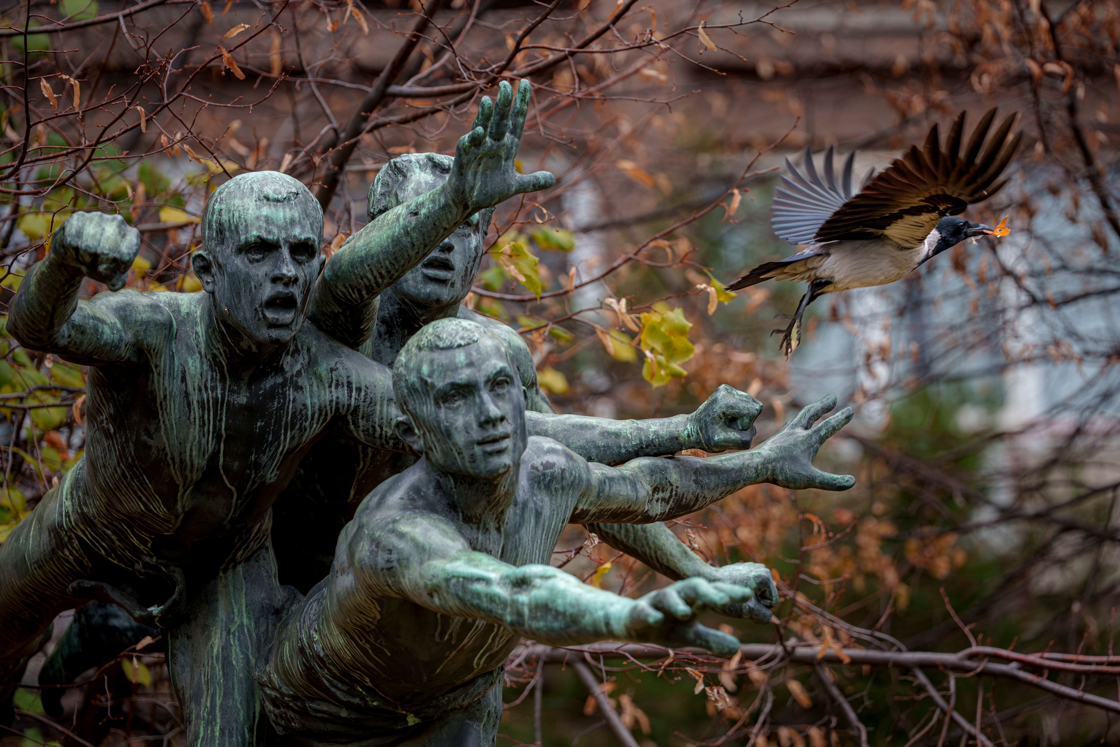 A bird flies off from a statue in Bucharest, Romania, Friday, Nov. 22, 2024. (AP Photo/Andreea Alexandru)