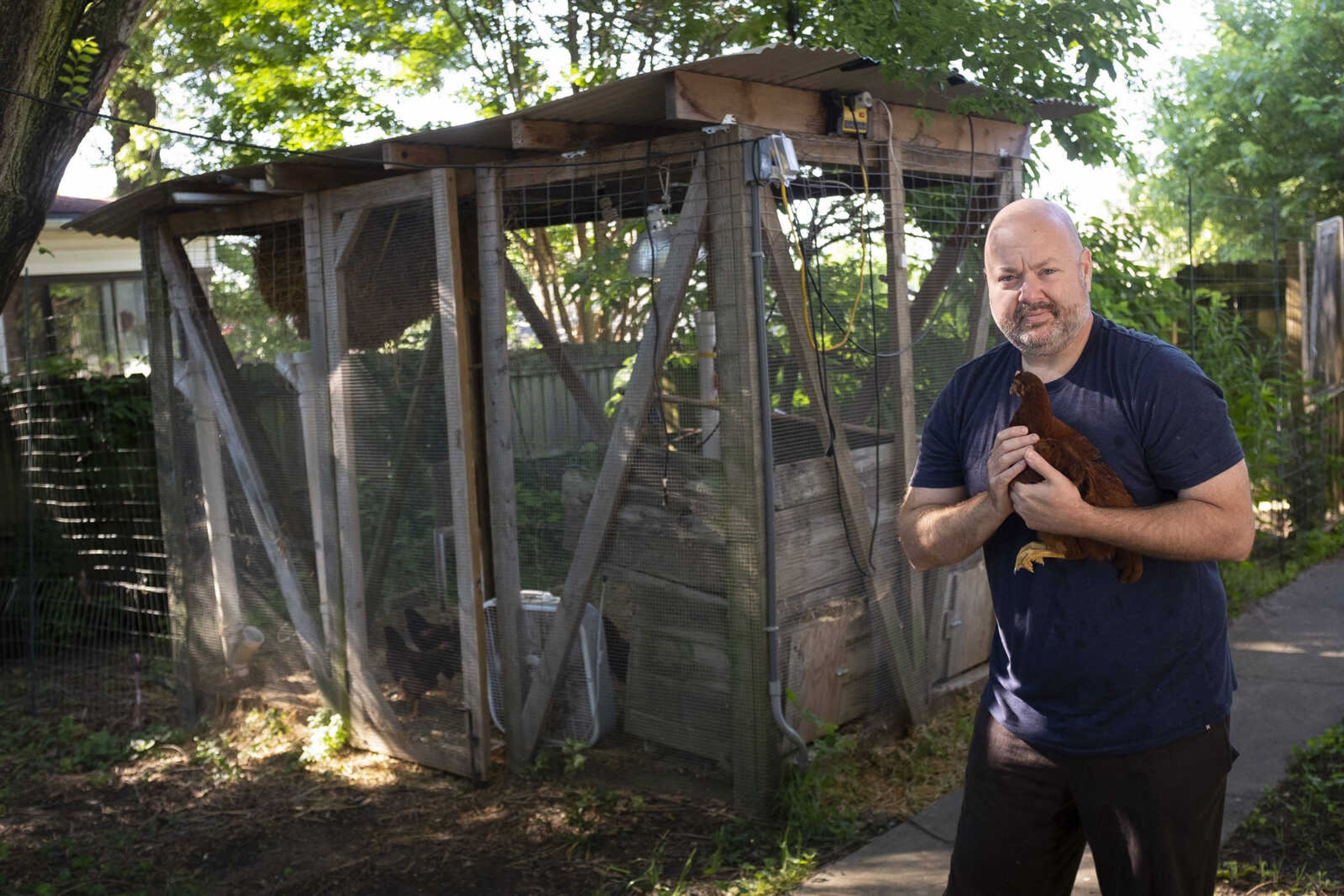 Andrew Bard of Cape Girardeau poses for a portrait with one of his Rhode Island Red chickens near the chicken coop Saturday, May 30, 2020, at his home in Cape Girardeau.