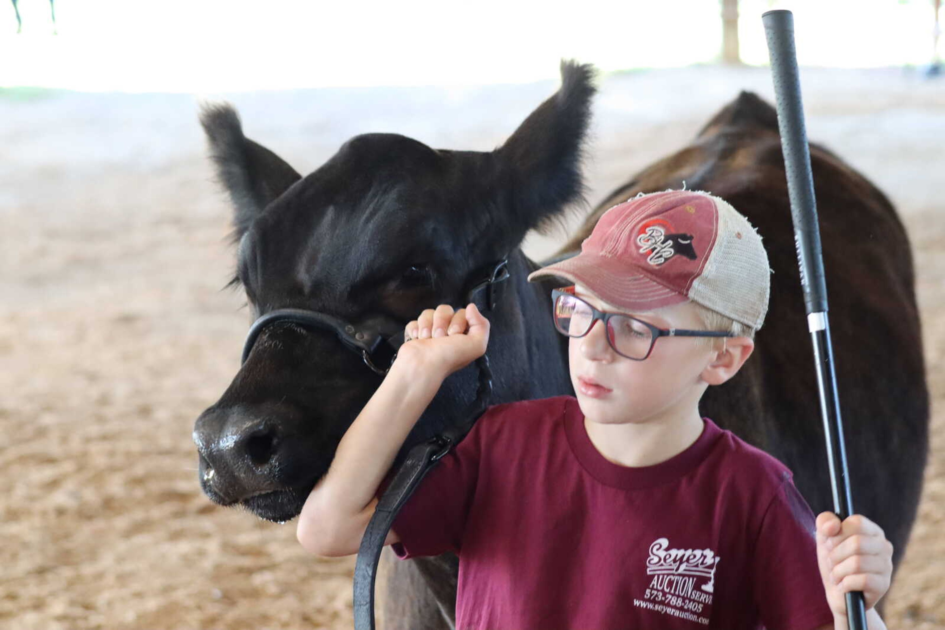 Kole Nothdurft leads his heifer through the judging.