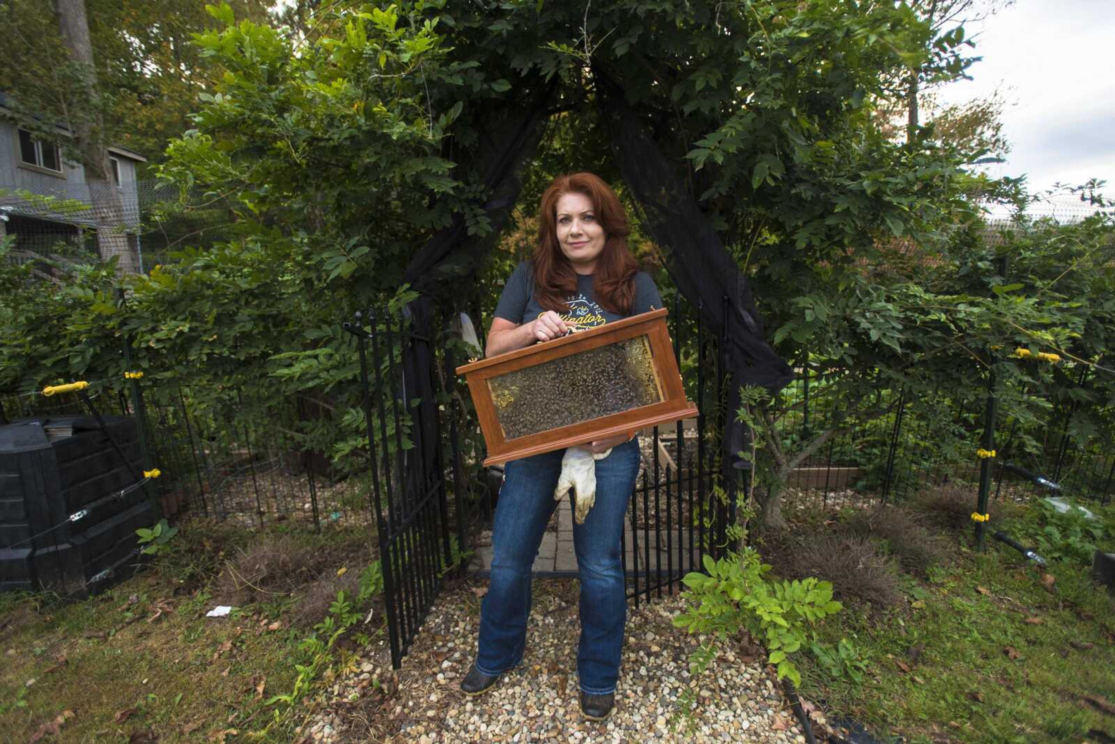 Jodi Freeman poses for a photo with her observation beehive frame in her garden Friday, Oct. 20, 2017 in Cape Girardeau.