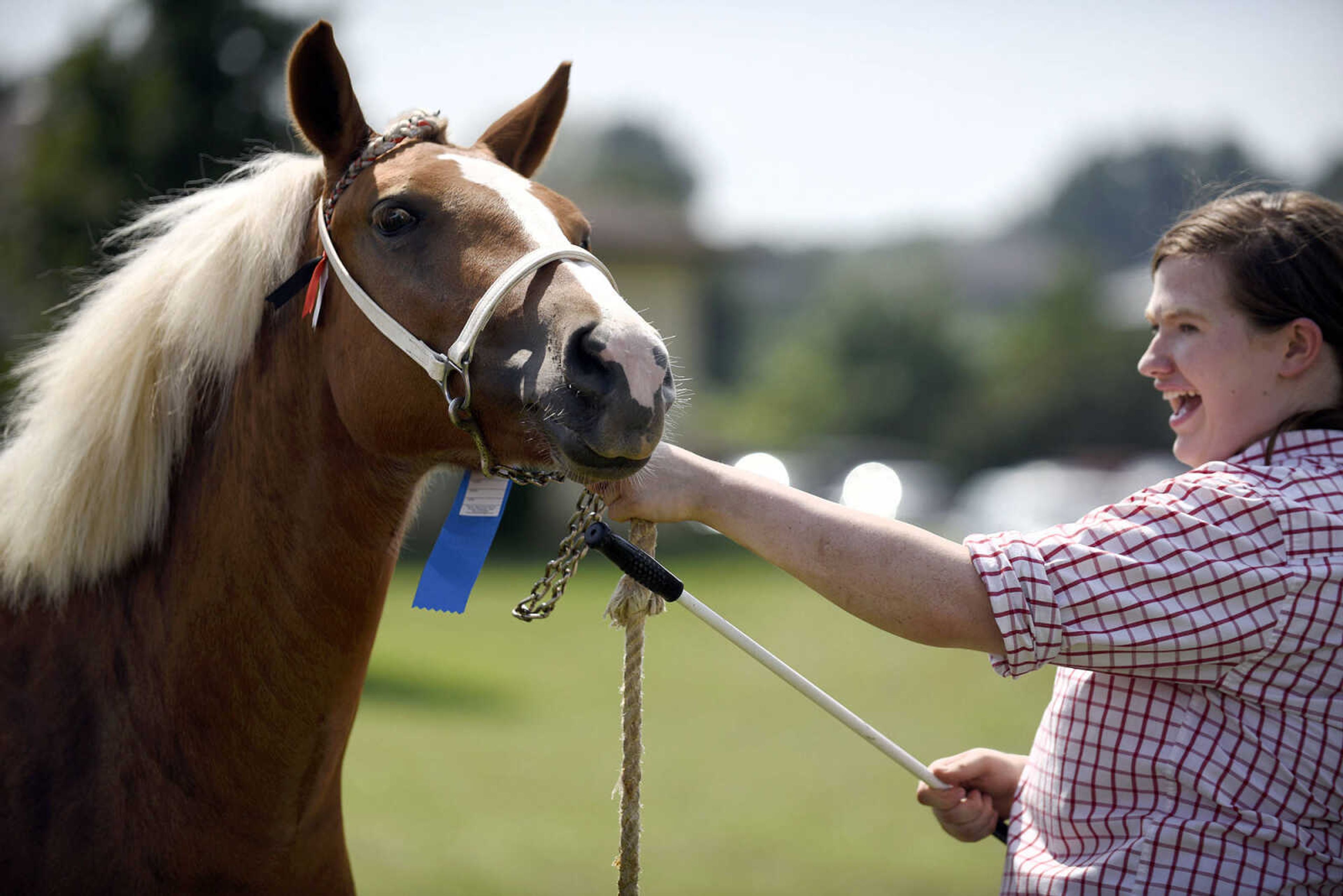 LAURA SIMON ~ lsimon@semissourian.com

People show their draft ponies during the SEMO District Fair on Friday, Sept. 16, 2016, at Arena Park in Cape Girardeau.