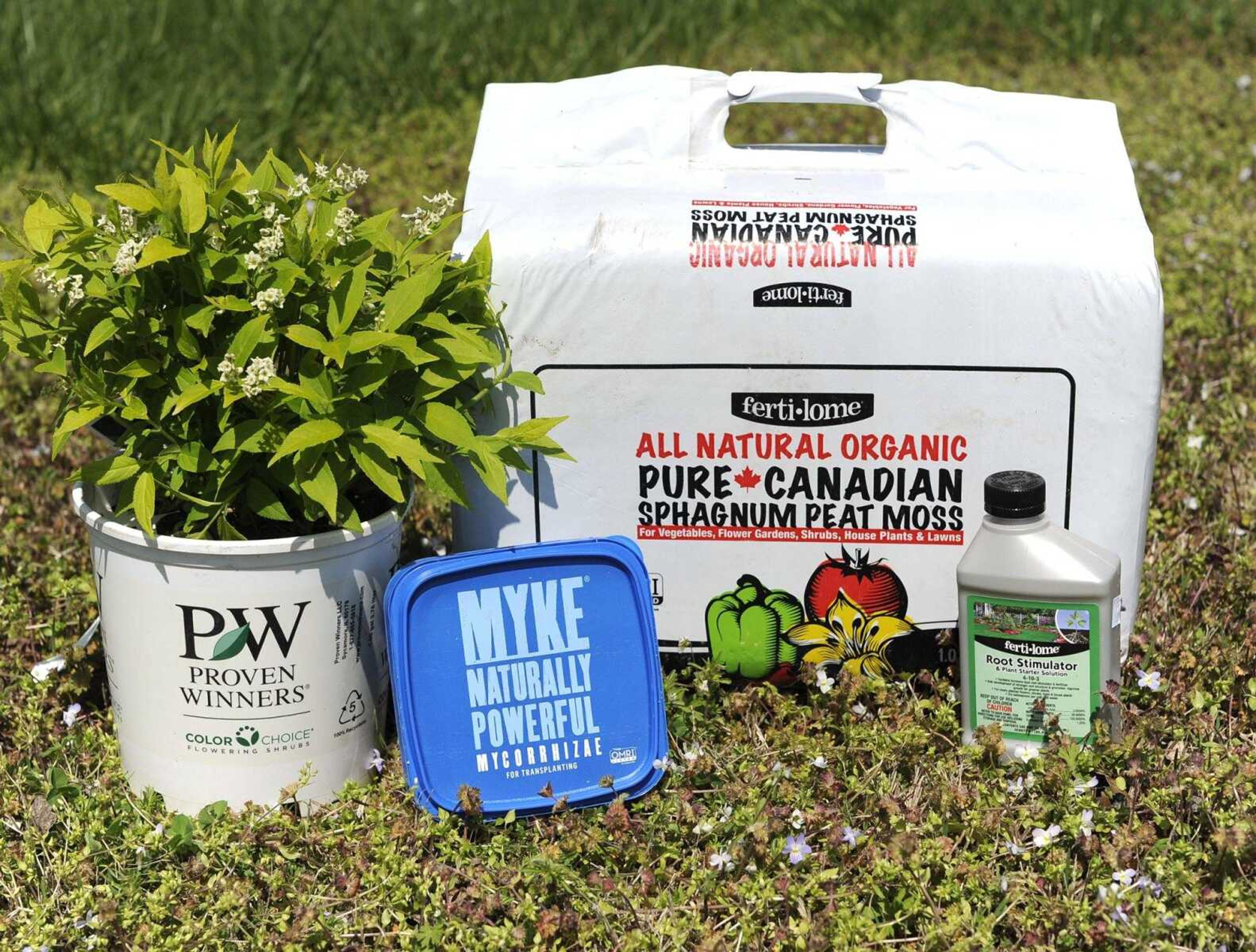 Mycorrhizae, or myke, a beneficial fungus, can be used to enhance the growth of a host plant, such as a deutzia, left, along with sphagnum peat moss and a root stimulator.