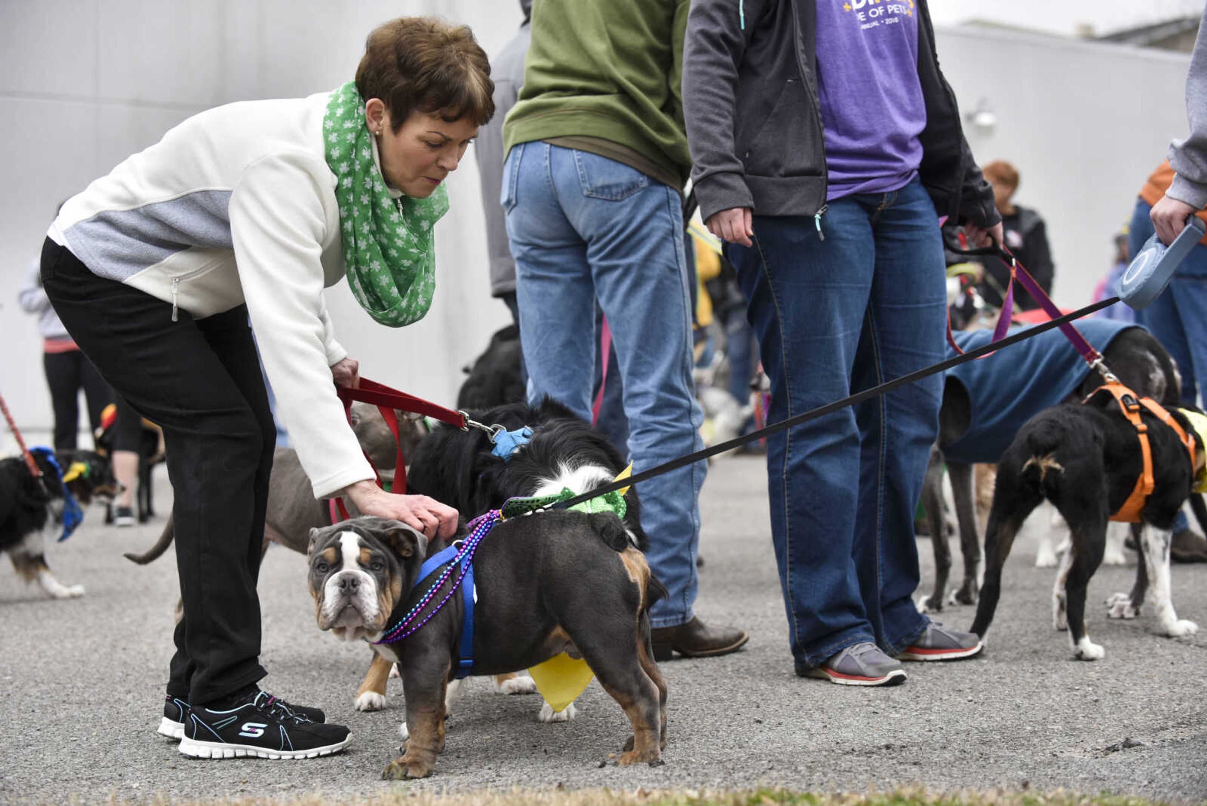 Nancy Webb, left, pets Lacey Gendron's english bulldog, Terk, after the 2nd annual Mardi Paws Parade of Pets on Sunday, March 18, 2018, in Cape Girardeau.