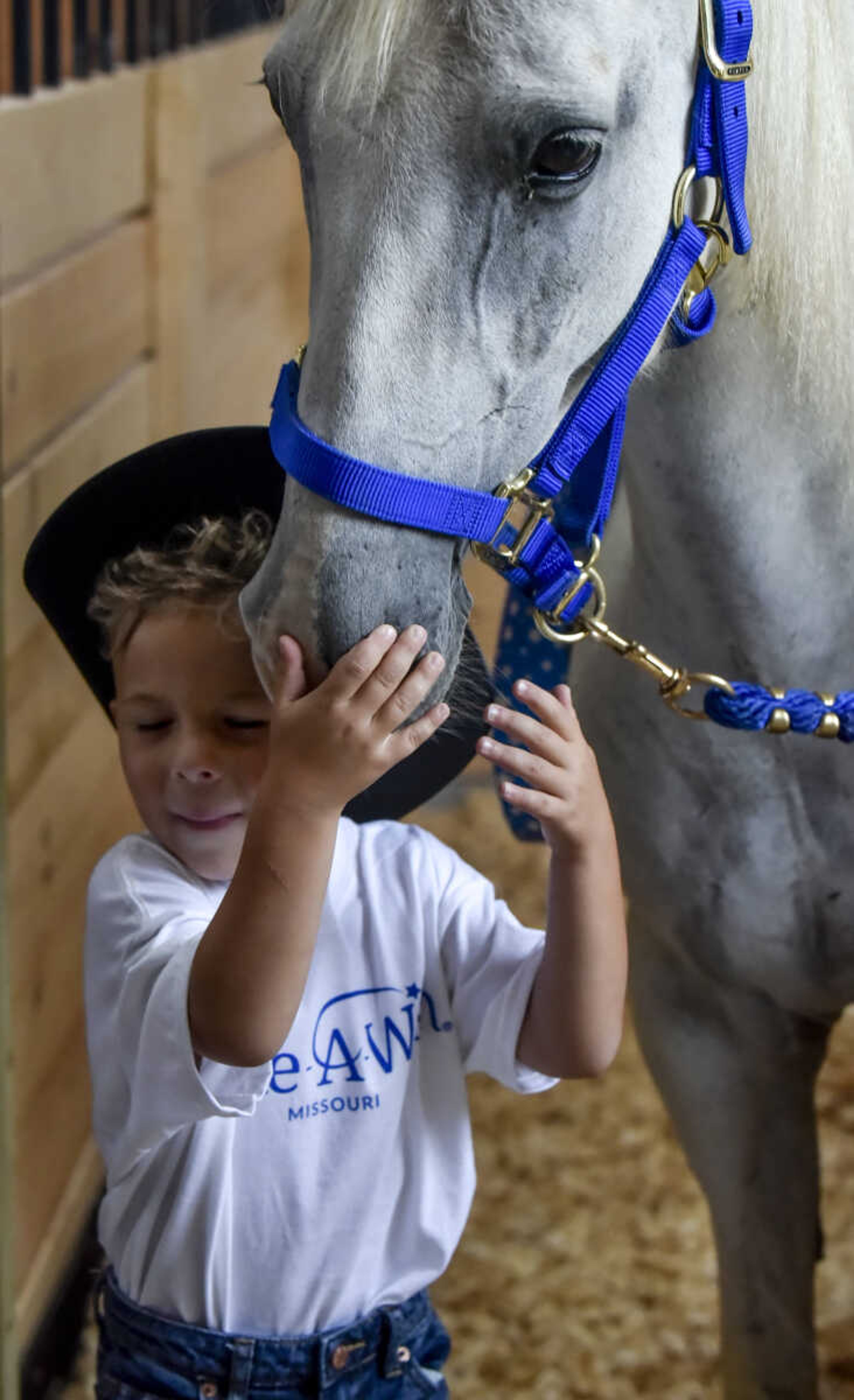 Nate Prichard, 5, hugs his new pet horse Silver as part of his Make-A-Wish wish Monday, July 30, 2018 in&nbsp;Burfordville.