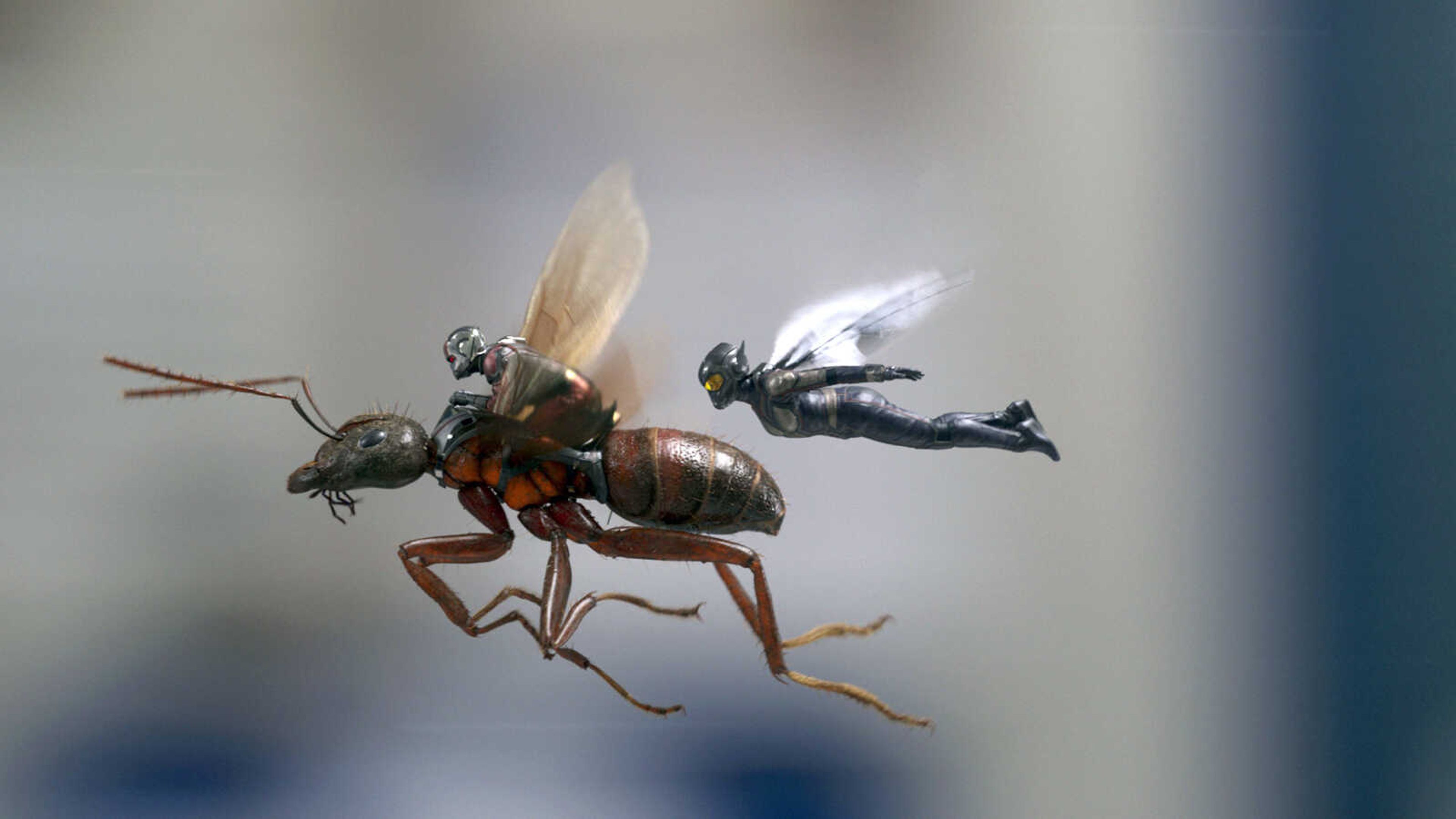 This image shows a scene from "Ant-Man and the Wasp."