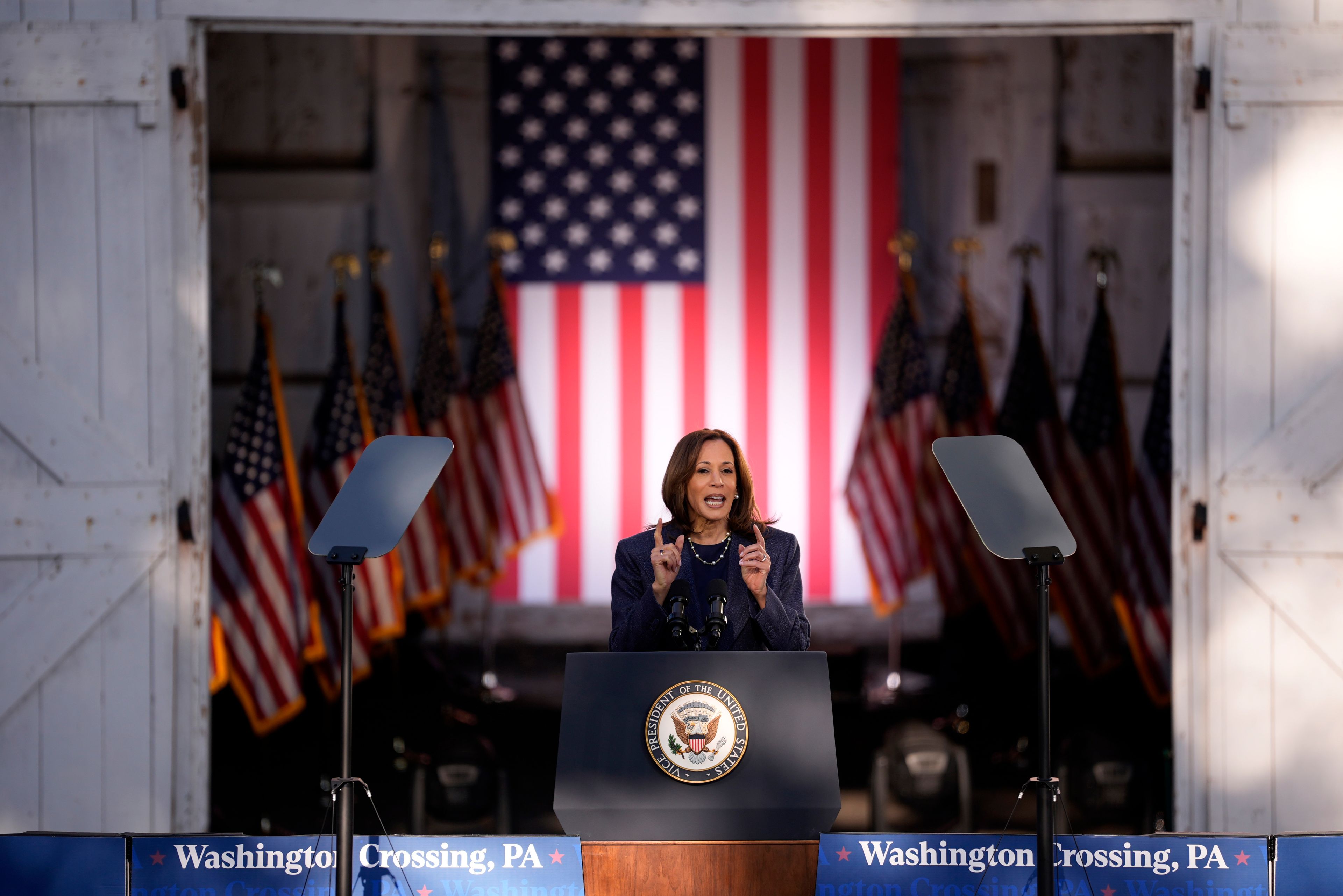 Democratic presidential nominee Vice President Kamala Harris speaks during a campaign event at Washington Crossing Historic Park, Wednesday, Oct. 16, 2024, in Washington Crossing, Pa. (AP Photo/Matt Slocum)