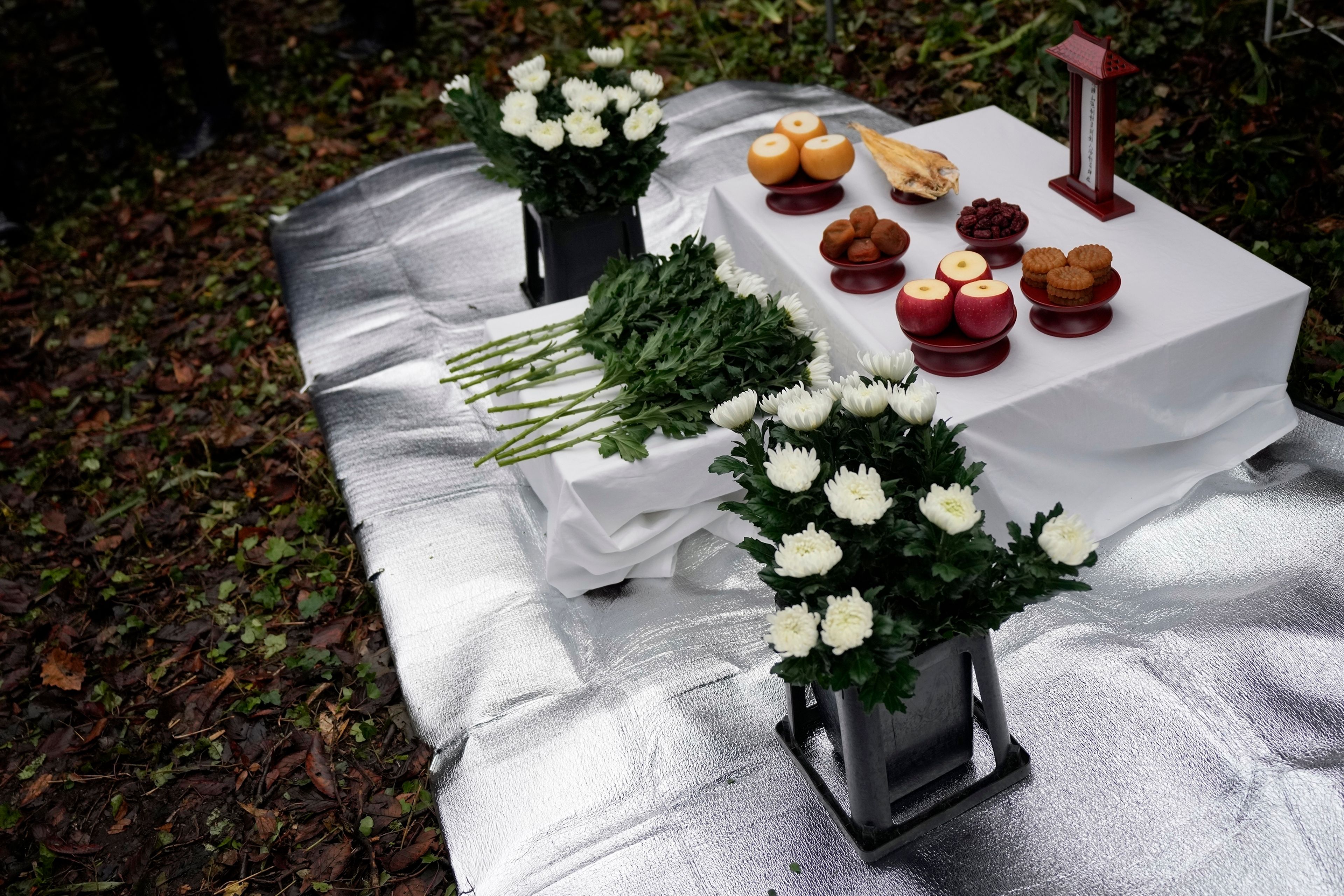 Offering by the relatives of Korean victims and South Korean officials are seen at an alter after a memorial service at the site of former Fourth Souai Dormitory for the mine workers from the Korean Peninsula, in Sado, Niigata prefecture, Japan, Monday, Nov. 25, 2024, a day after boycotting a memorial organized by Japanese officials. (AP Photo/Eugene Hoshiko)