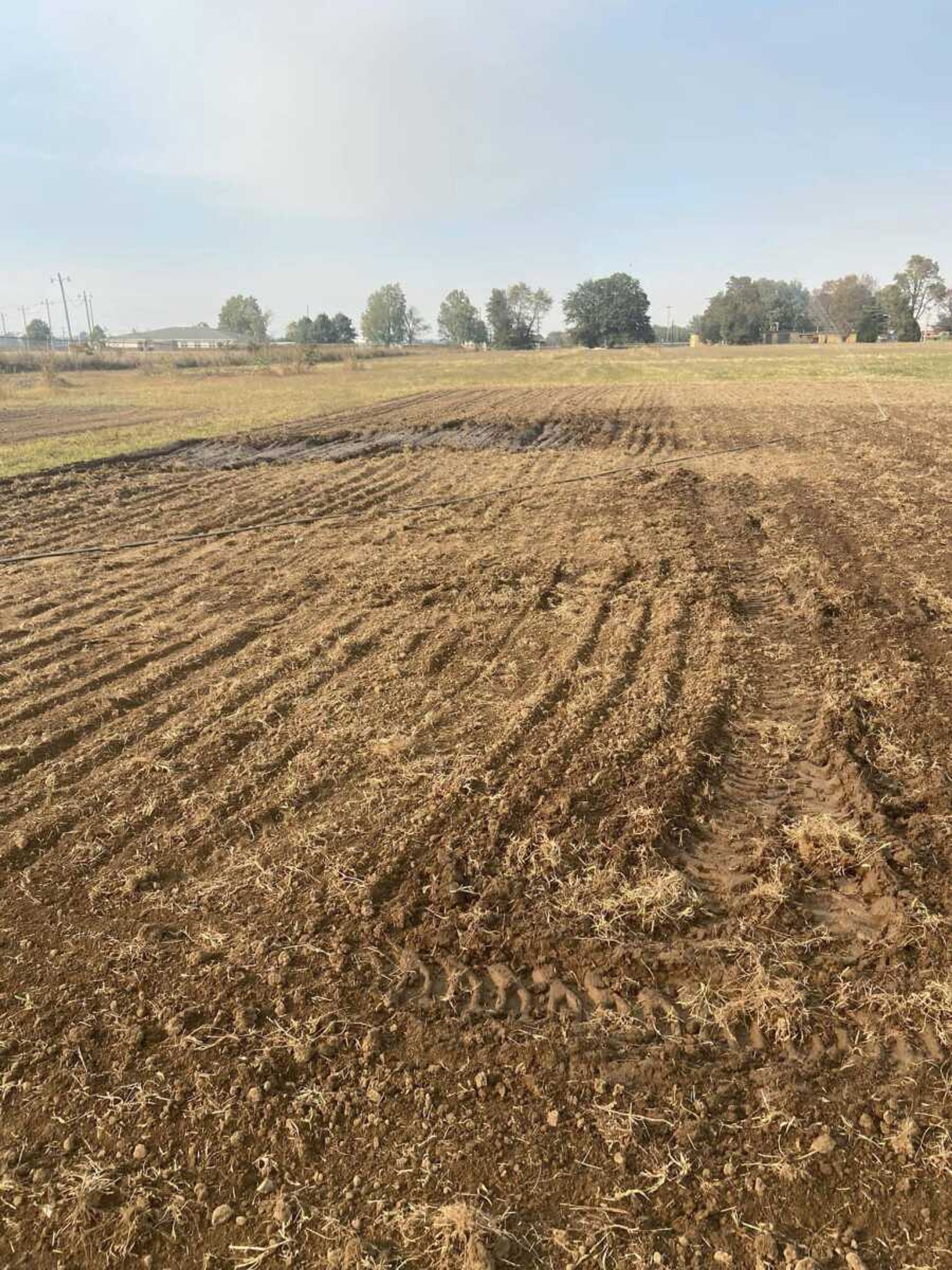 A field at the Kennett Community Farm after turnips and mustard greens have been planted. The farm allows any community member to pick produce for free at any time of day. 