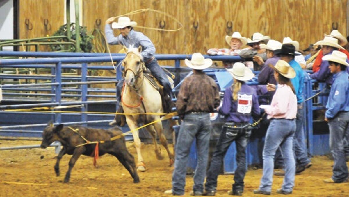 ROPE 'EM COWBOY