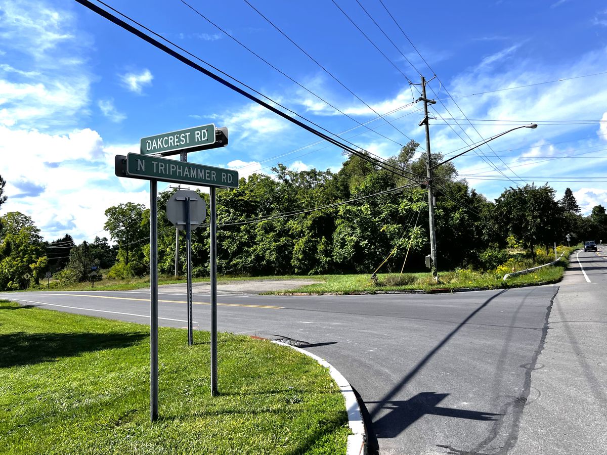 Tree clearing along Oakcrest Road sparks Lansing concerns