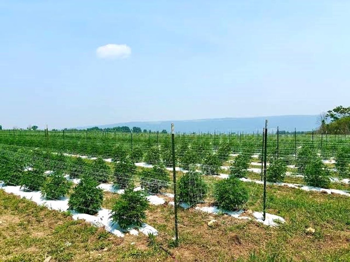 Sapphire Farms addresses Newfield residents' concerns