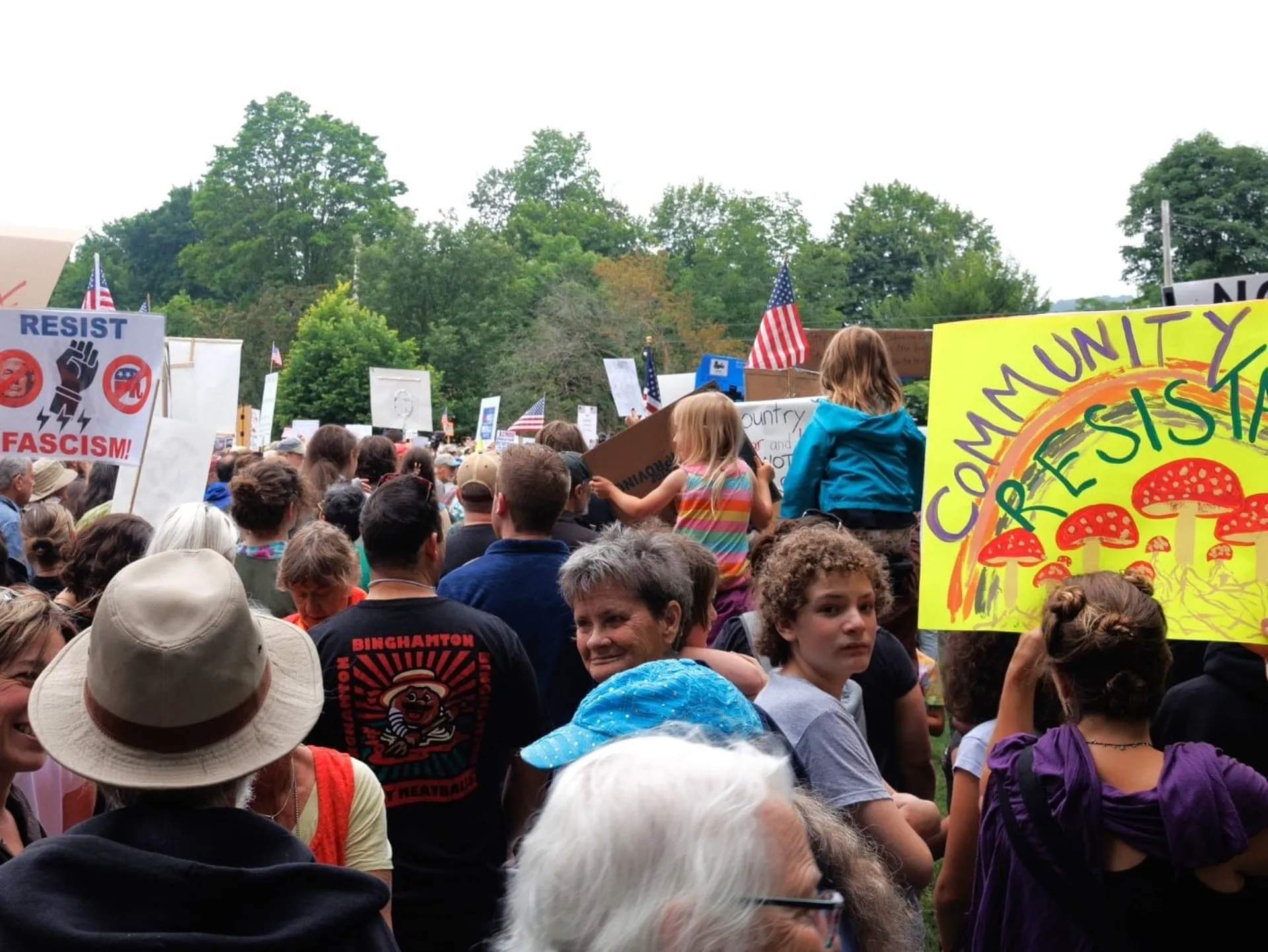Protesters hold signs in Ithaca at the October 2025 NO KINGS rally in Ithaca. 