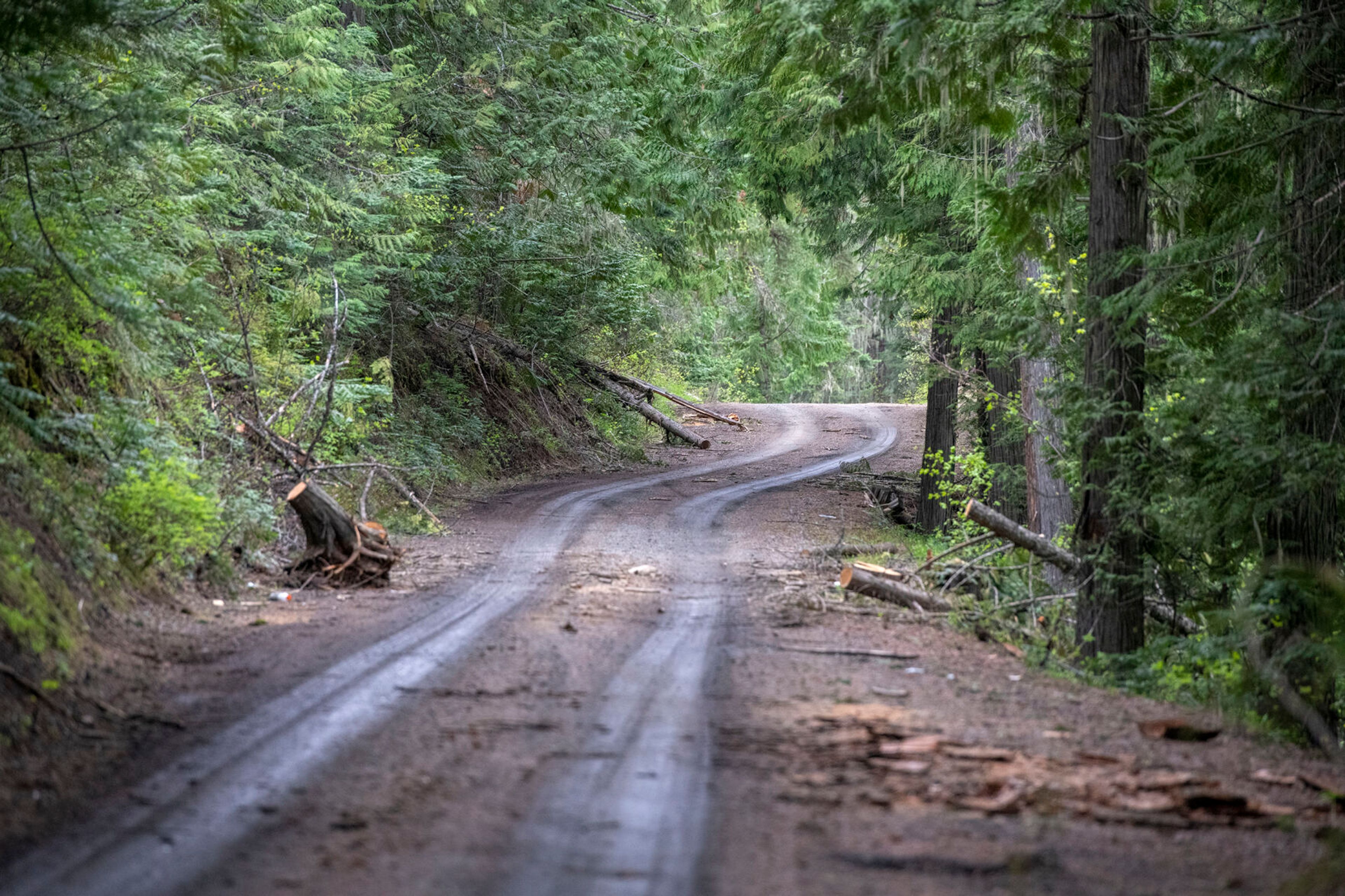 Skyline Drive, a 17-mile gravel road, leads guests through Mary McCroskey State Park in Farmington.