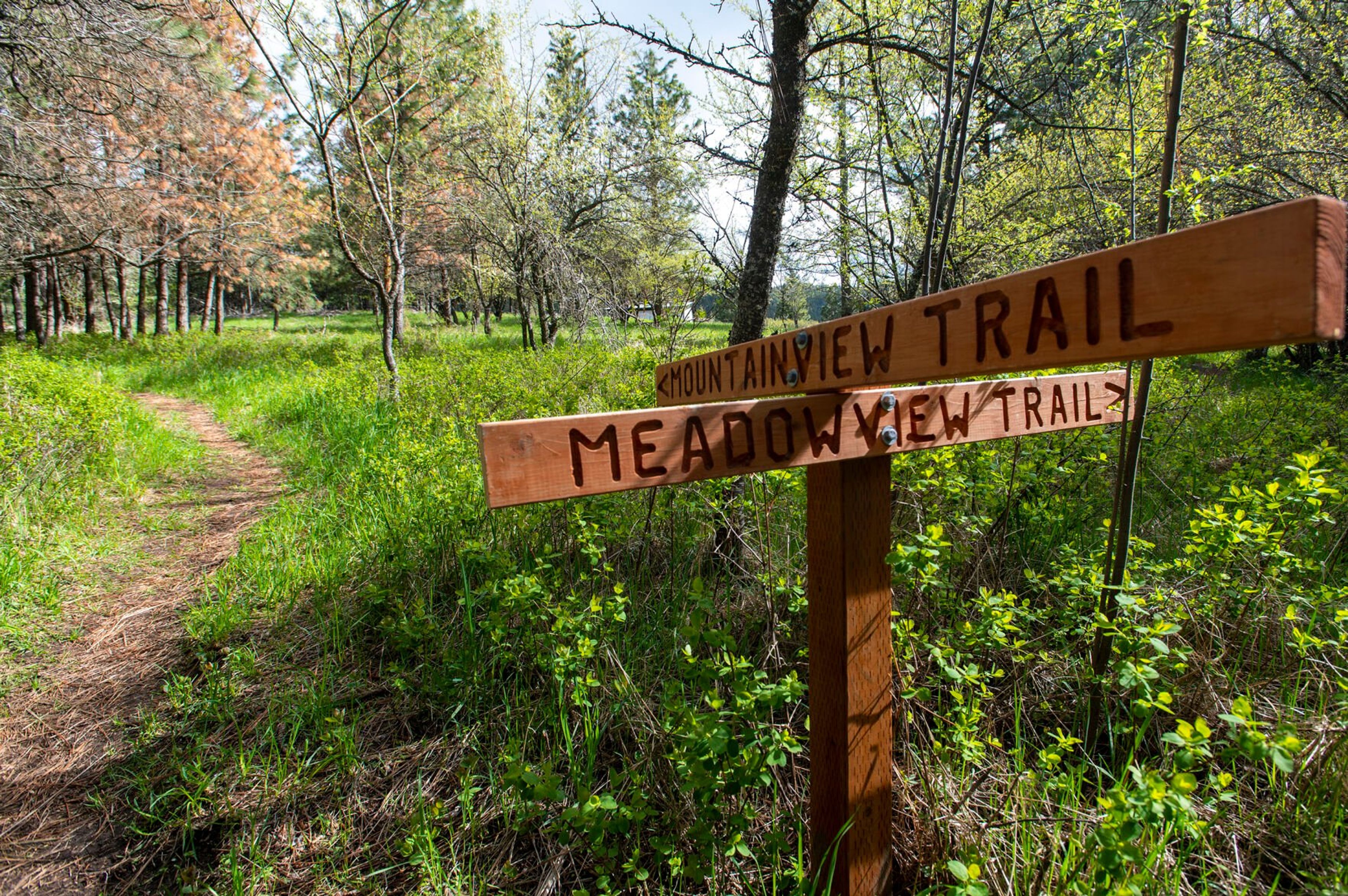 A sign offers directions at the intersection of Mountain View Trail and Meadow View Trail at Idler’s Rest Nature Preserve. These are part of the 60-plus-mile system of trails in the area of Moscow Mountain.