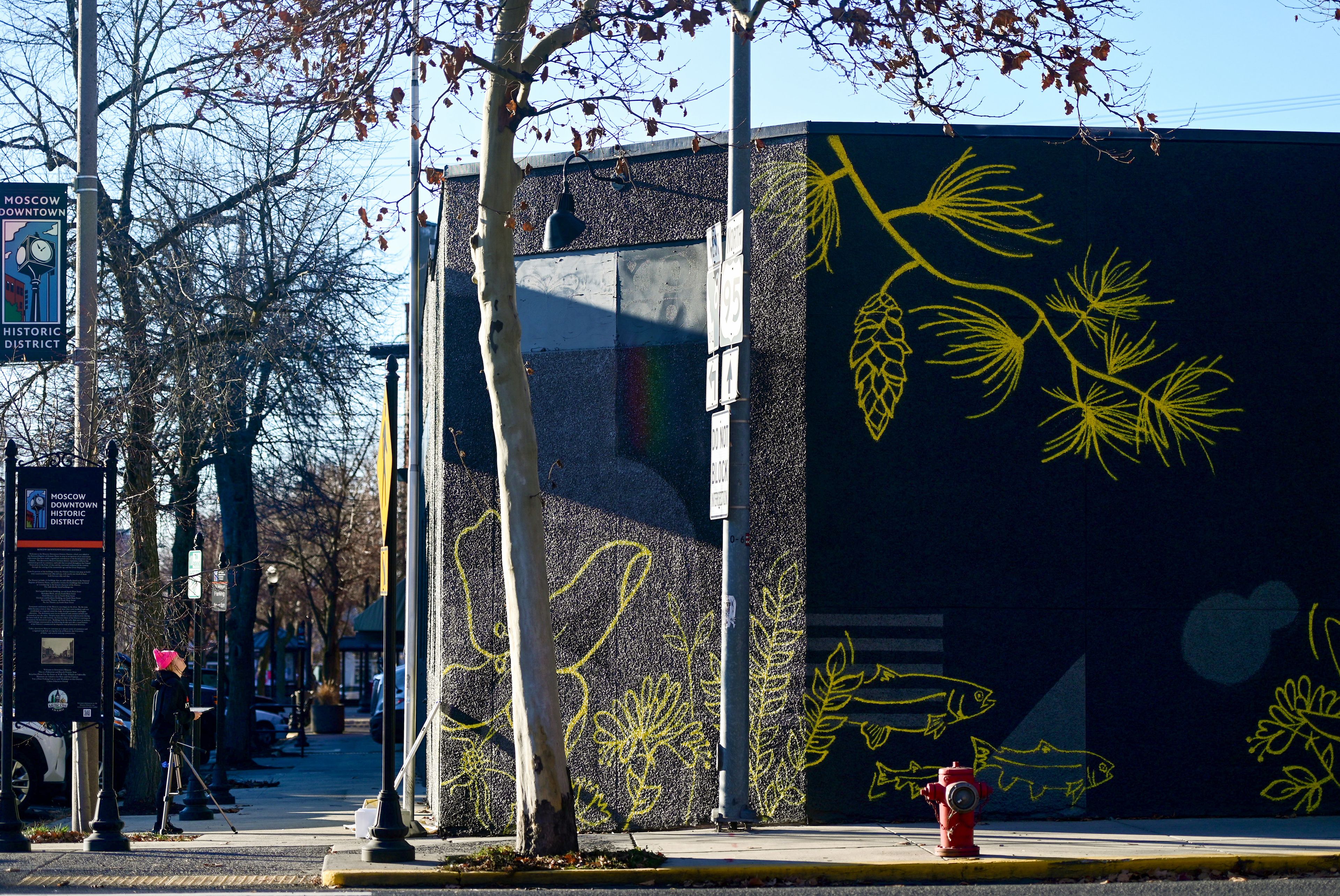 Mikaela Herrick, a University of Idaho senior studio art and design student, looks up at her mural at the corner of Fourth and Washington streets in Moscow on Tuesday.