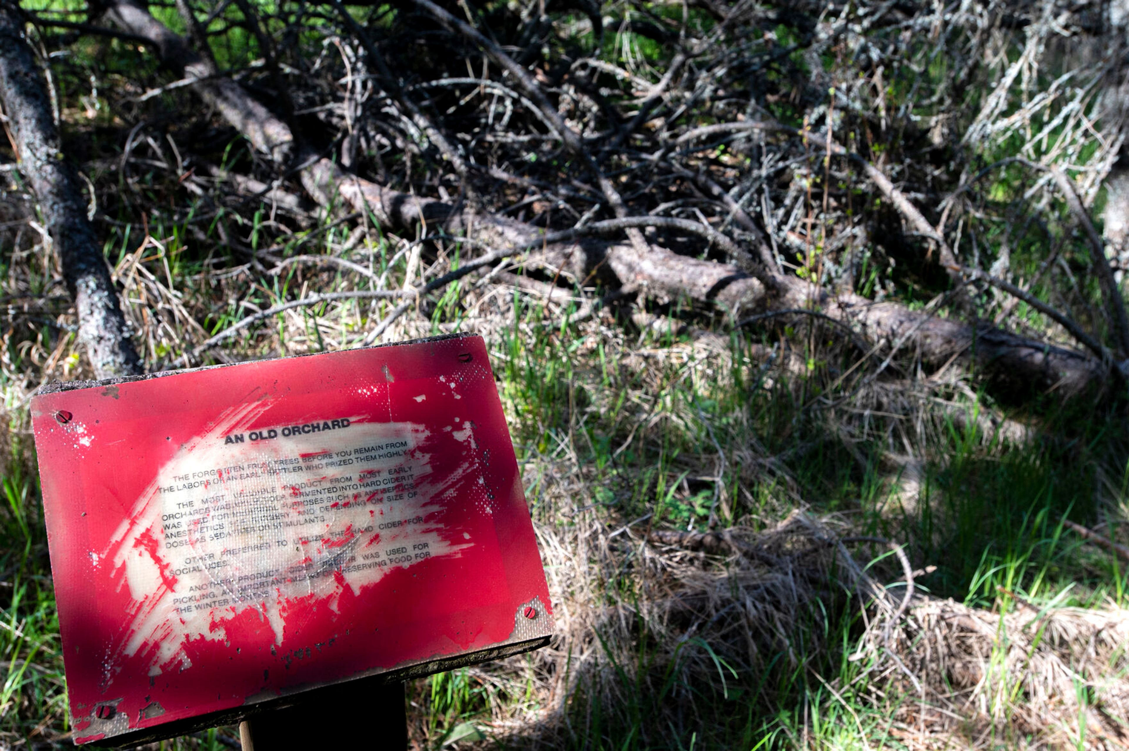 A sign on Mountain View Trail highlights the remnants of an old fruit orchard that was planted by homesteaders.