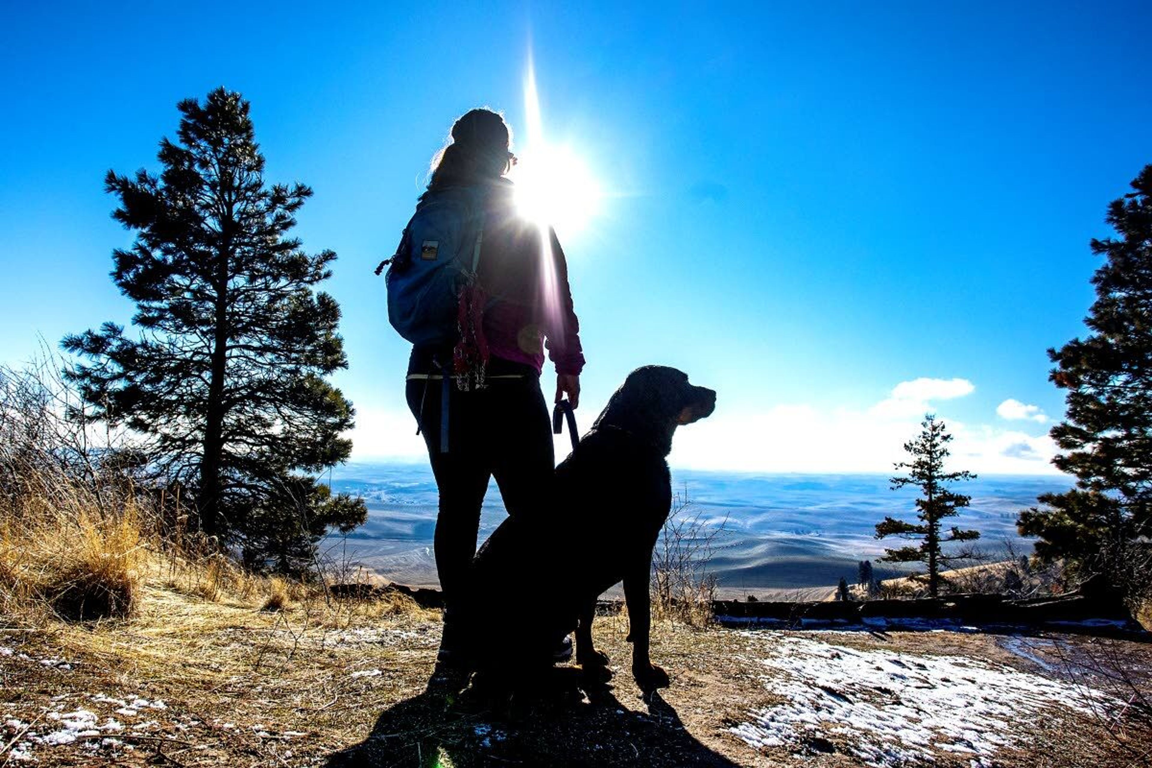 Nicole DeLaCruz, of Pullman, looks out over the Palouse with her dog Brutus while hiking with Palouse Hiking and Sauntering Adventurers on a trek up the Pine Ridge Trail to the summit of Kamiak Butte on Saturday.