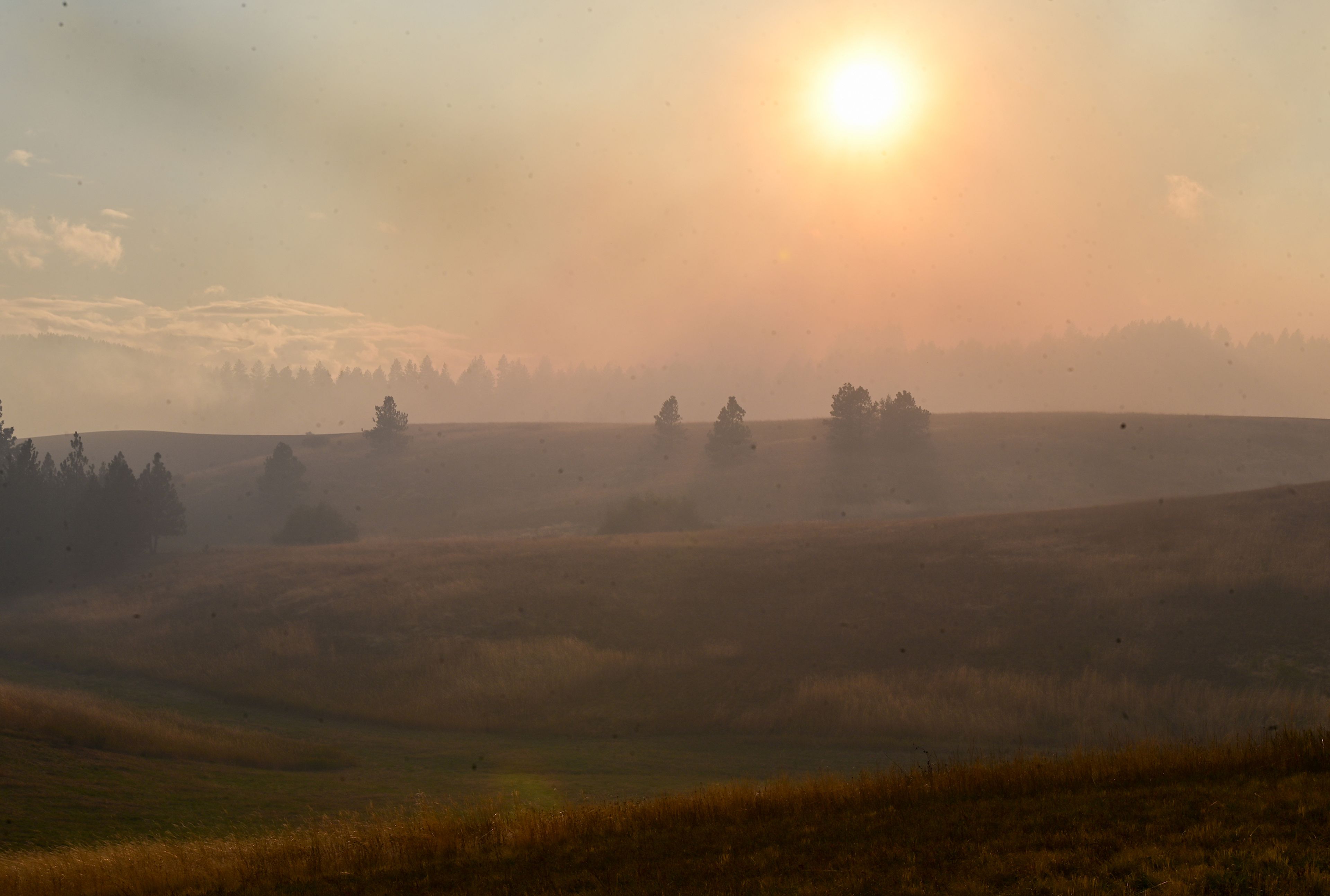 The sun cuts through a smokey haze in the area of Wallen Road after the start of a wildfire Friday in Moscow.,