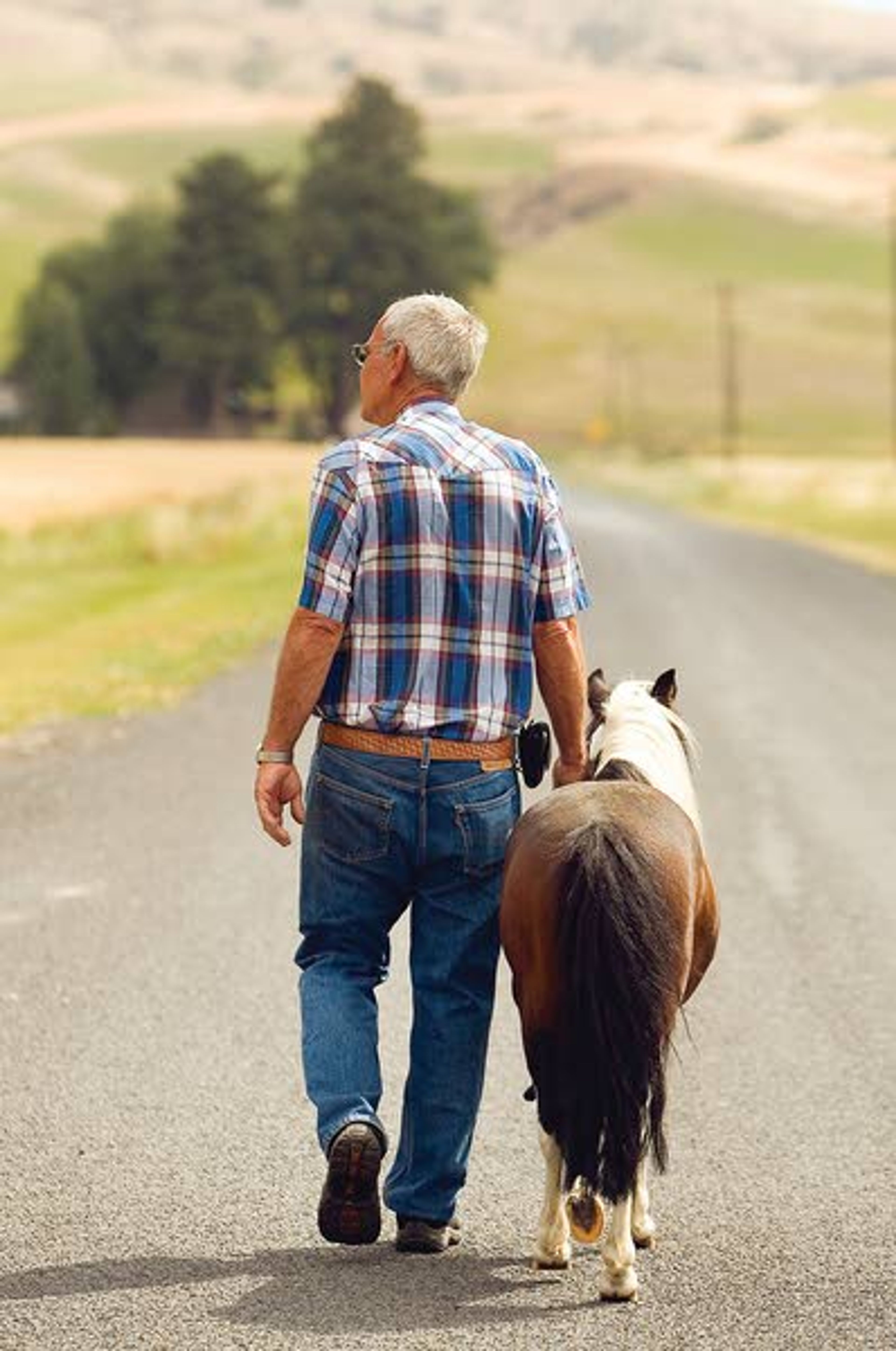 Big business in small packages Miniature horses, tack and supply stor...