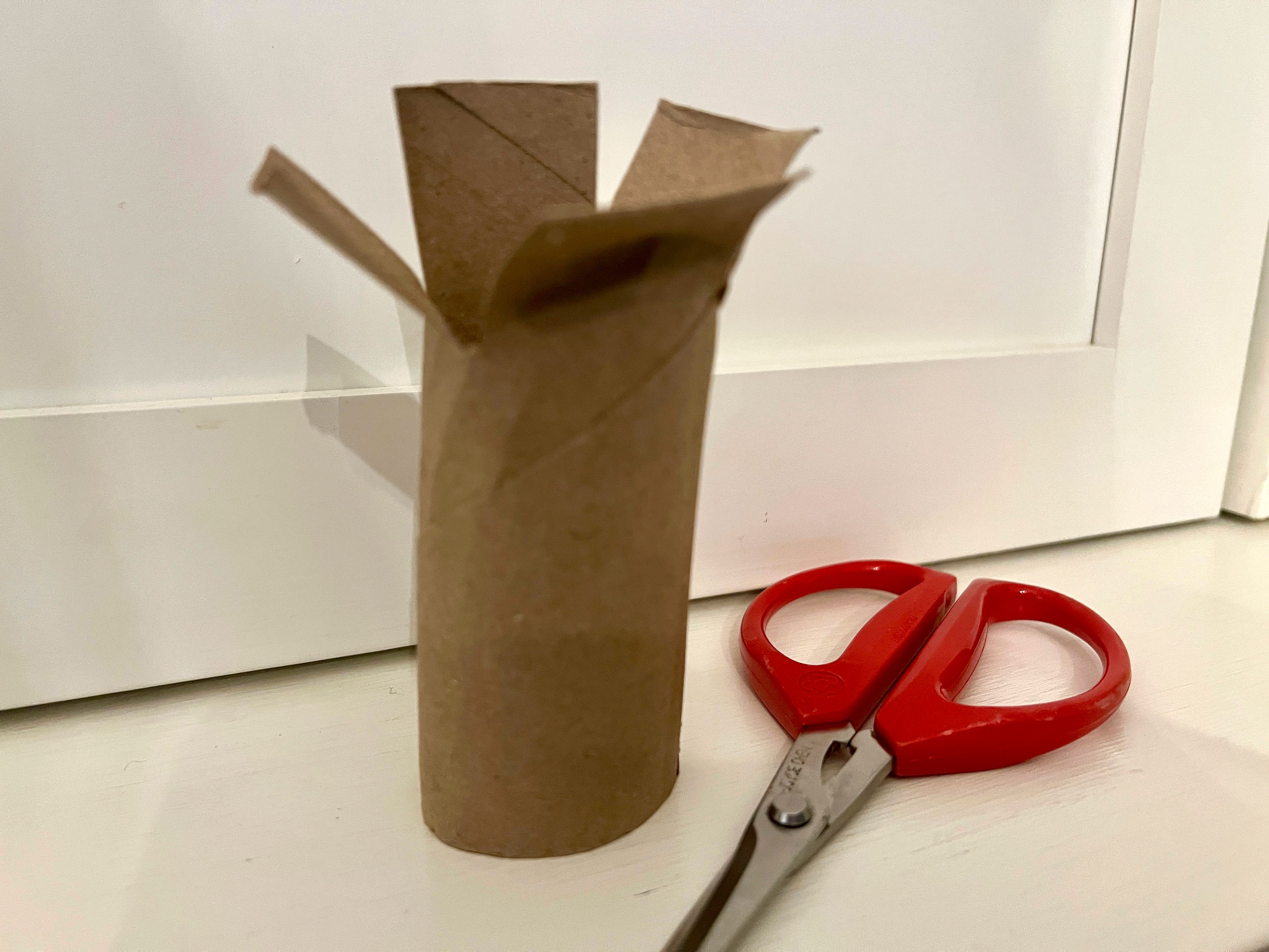 This Feb. 25, 2025, image shows a cardboard toilet paper roll and a pair of scissors, which can be used to make an upcycled, DIY seed pot. (Jessica Damiano via AP)