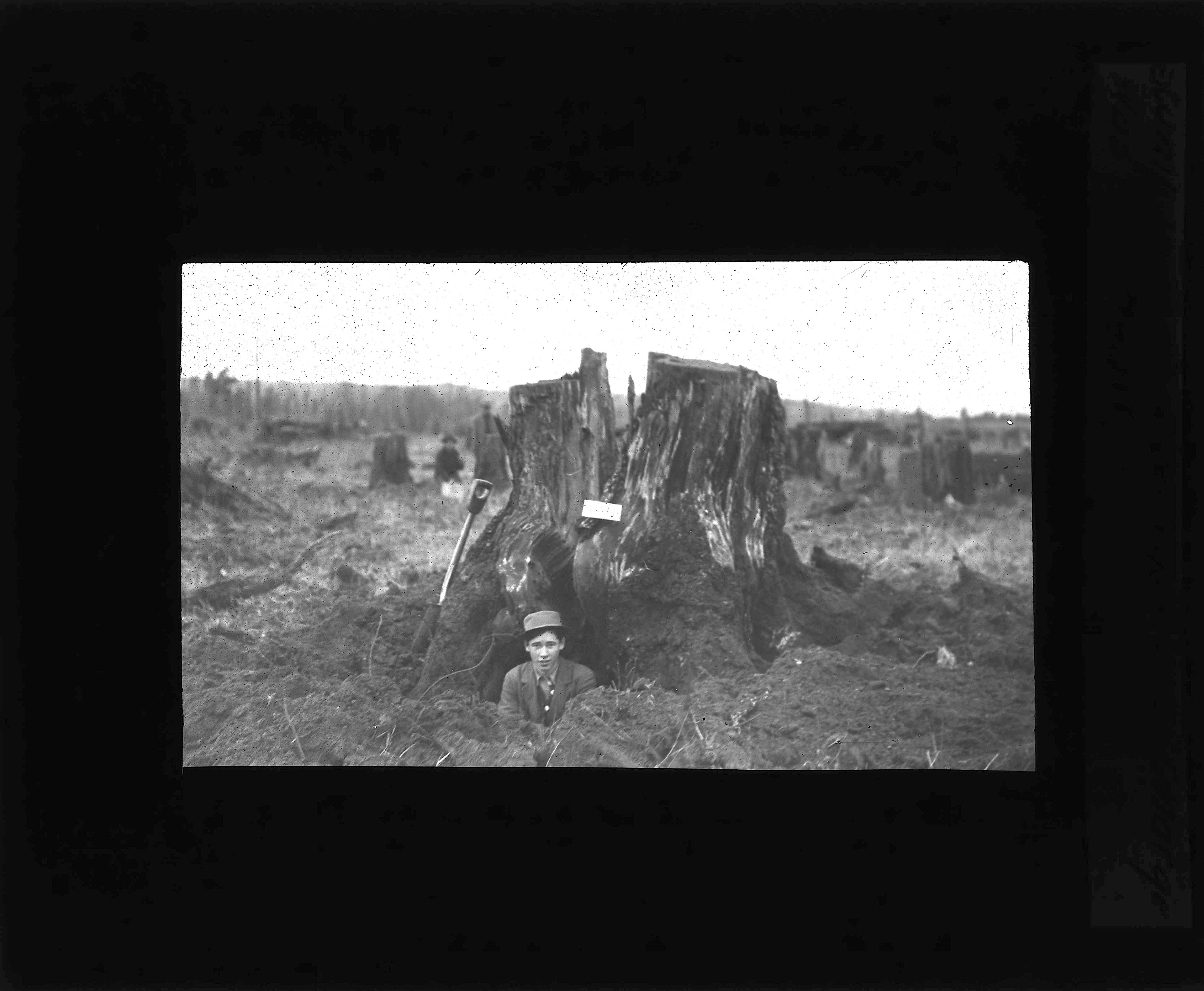 An unidentified man standing in a hole in front of a stump. The glass slide reads: “Stump in Fig. 19 after the blast. Charge was too small.” Taken around 1904.