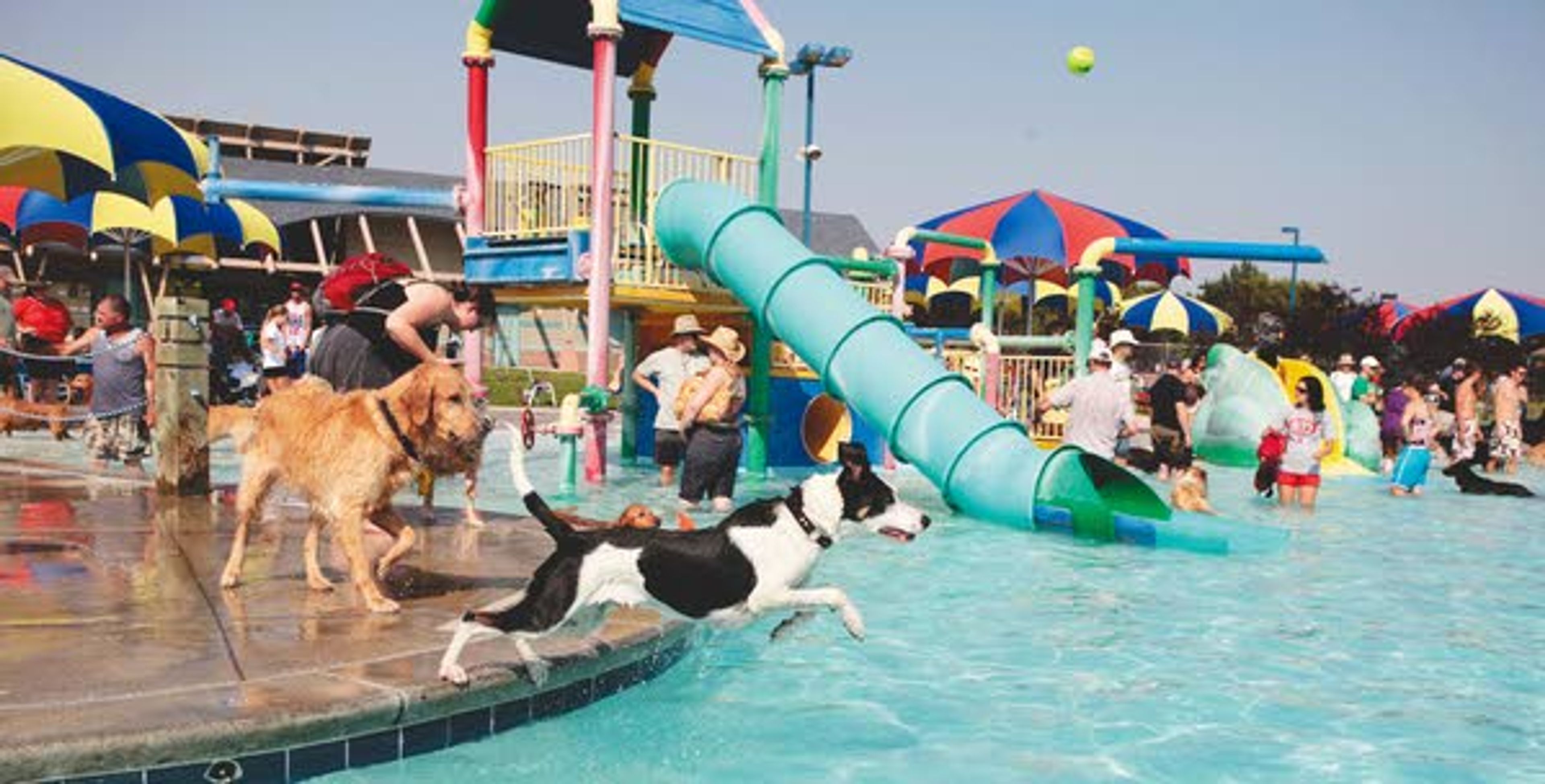 The Hamilton-Lowe Aquatic Center in Moscow, seen here during a Howling at the Hamilton event, will need to undergo structural work before it can open.