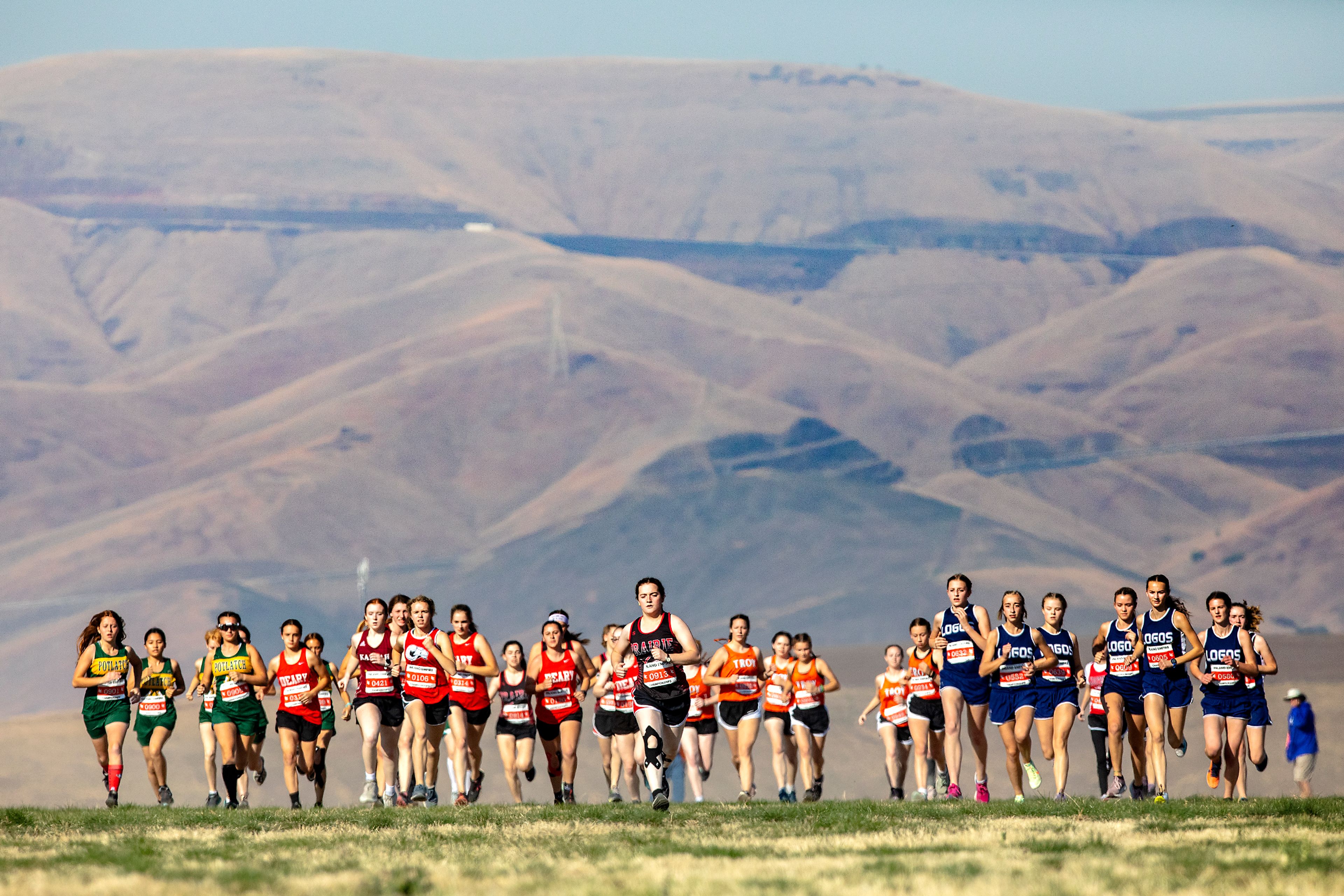 The girls field takes off from the start at the Class 1A district cross country meet in Lewiston on Wednesday.