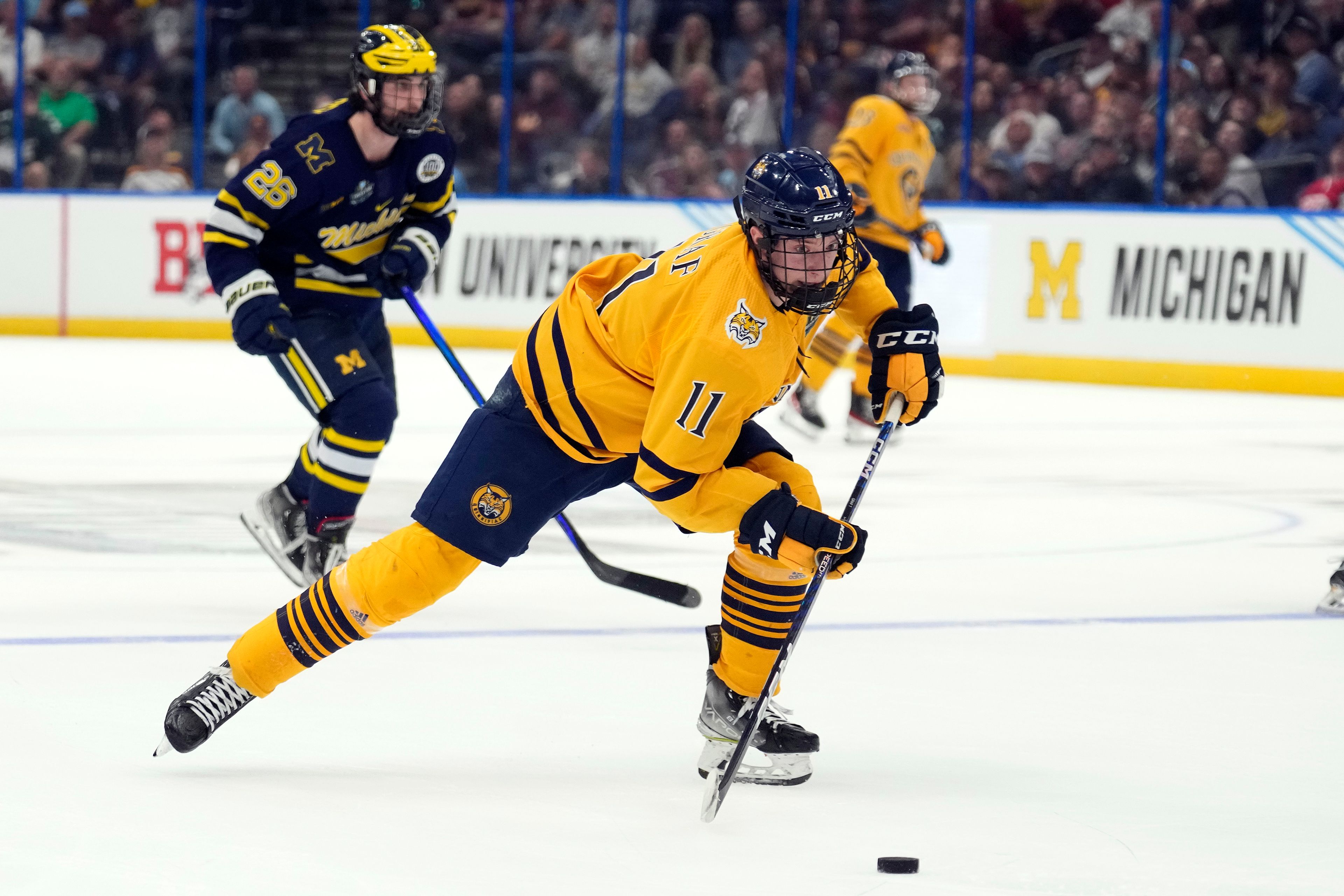 Quinnipiac forward Collin Graf (11) beats Michigan forward Dylan Duke (25) to a loose puck during the second period of an NCAA semifinal game in the Frozen Four college hockey tournament Thursday, April 6, 2023, in Tampa, Fla. (AP Photo/Chris O'Meara)