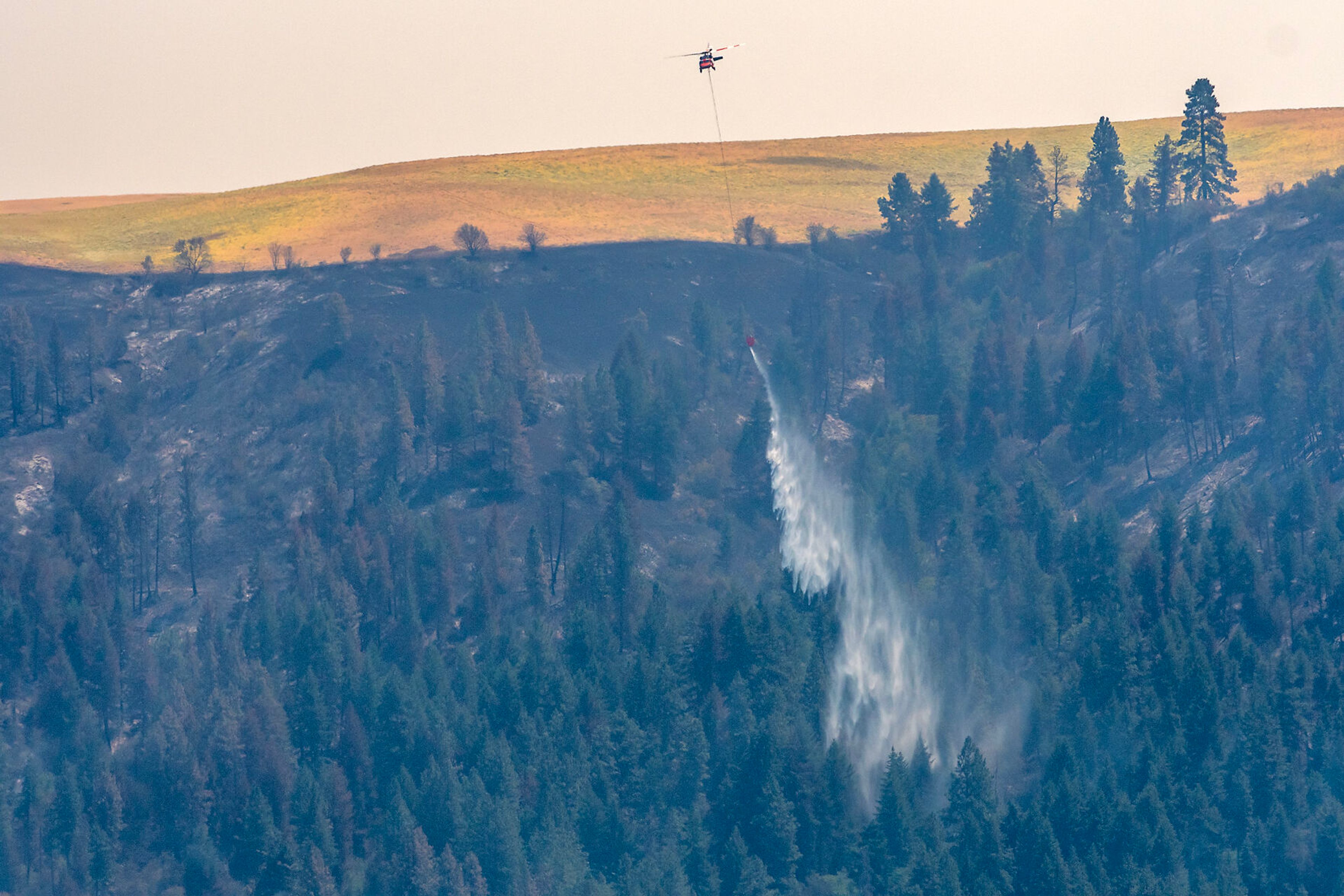 A helicopter makes a drop Thursday on the Texas Fire.