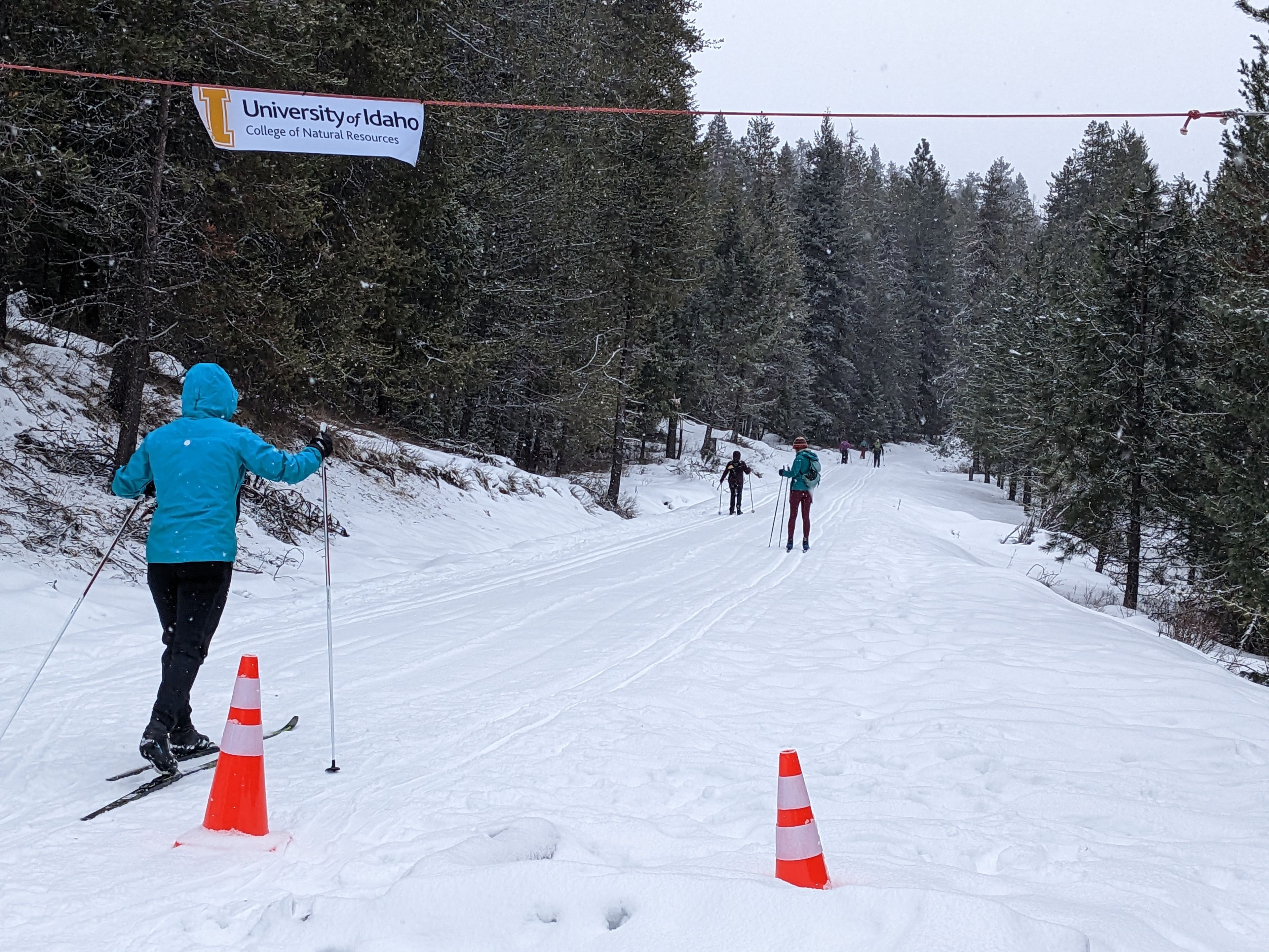 The University of Idaho held the Vandal Swoosh, a 7-kilometer fun race on its new cross country trail system last weekend.