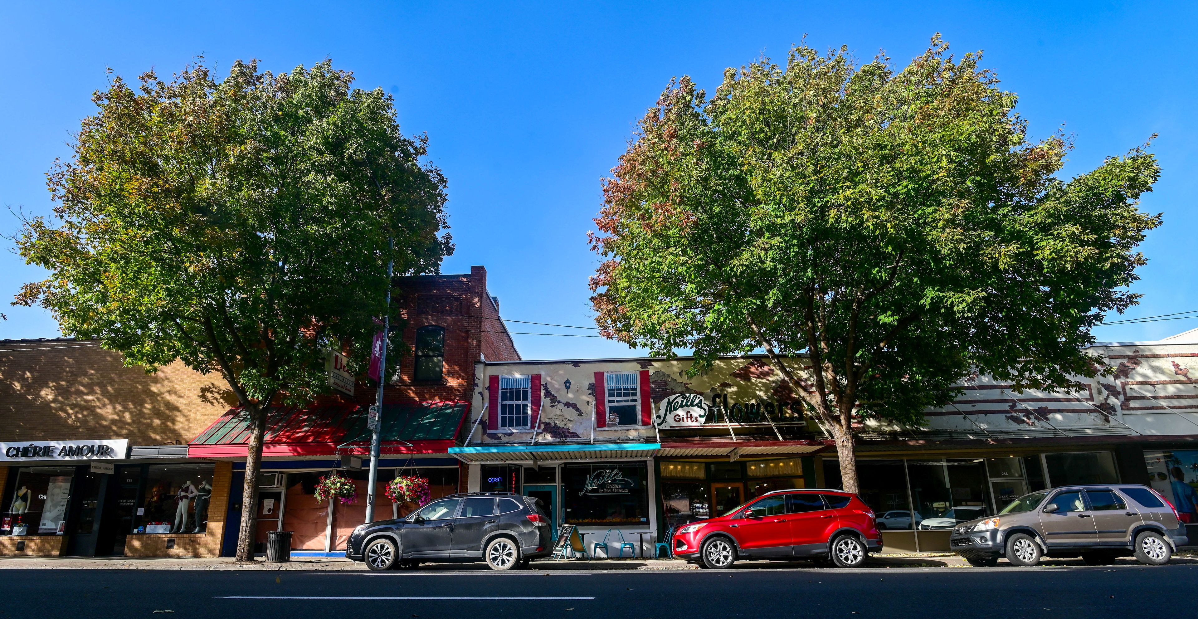 Shadows are cast on businesses along Main Street by the trees that line the road in Pullman on Monday. The city of Pullman announced that it will be removing and replacing these trees as part of its Project Downtown Pullman, in which sidewalks will also be replaced.