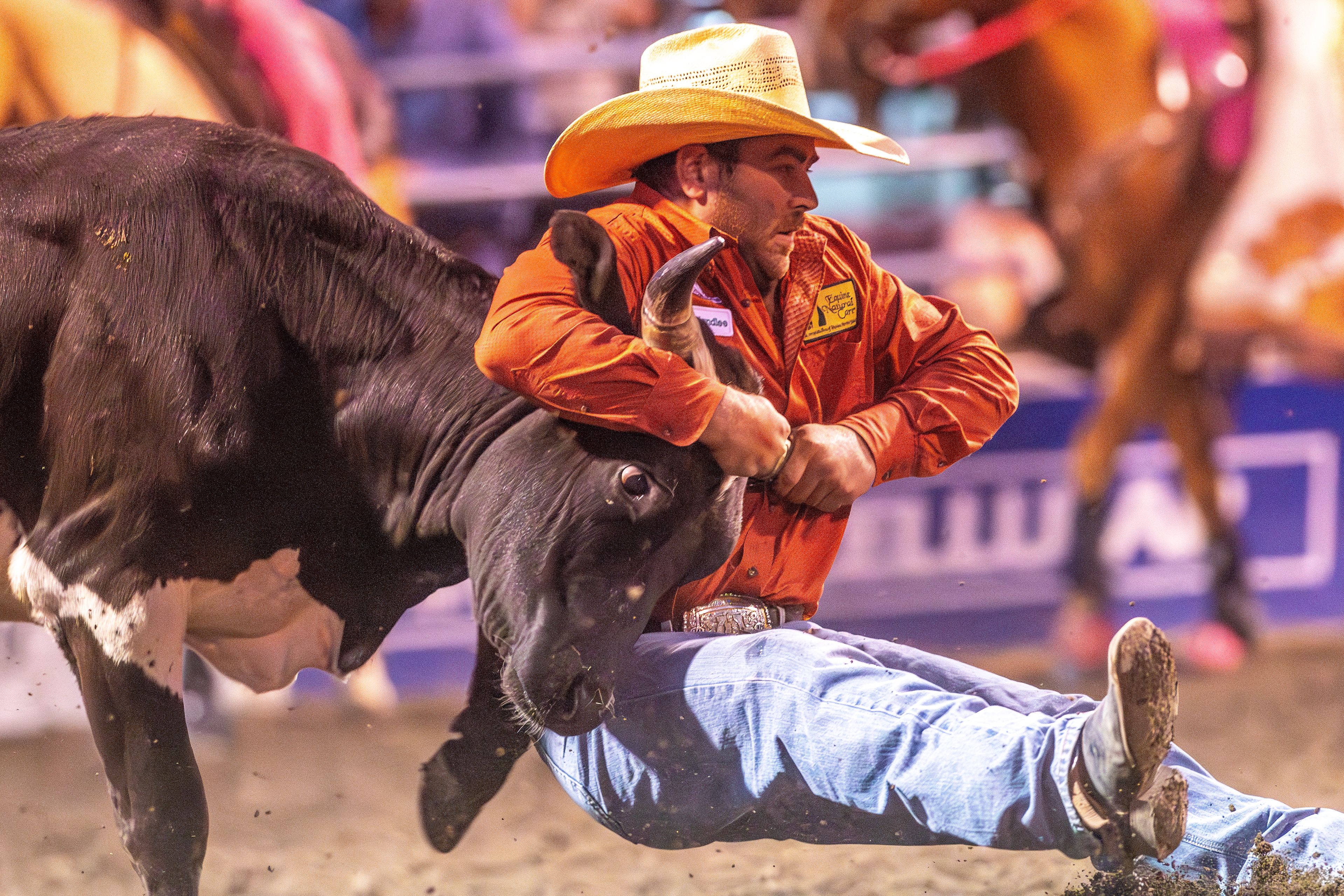 Jake Nelson grips his steer in the steer wrestling competition on day 3 of the Lewiston Roundup.