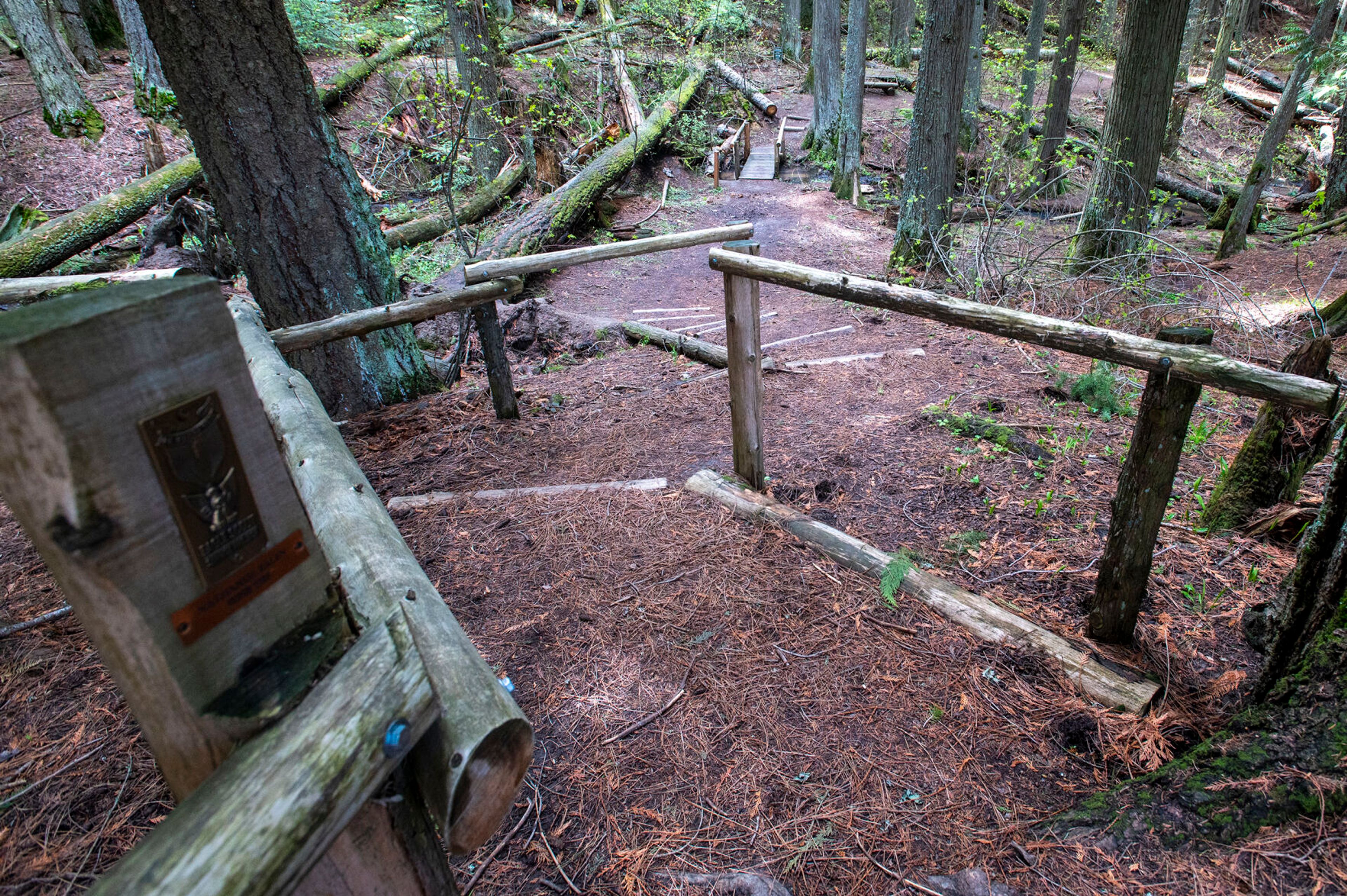 A stairway leading through Cedar Trail is seen here.