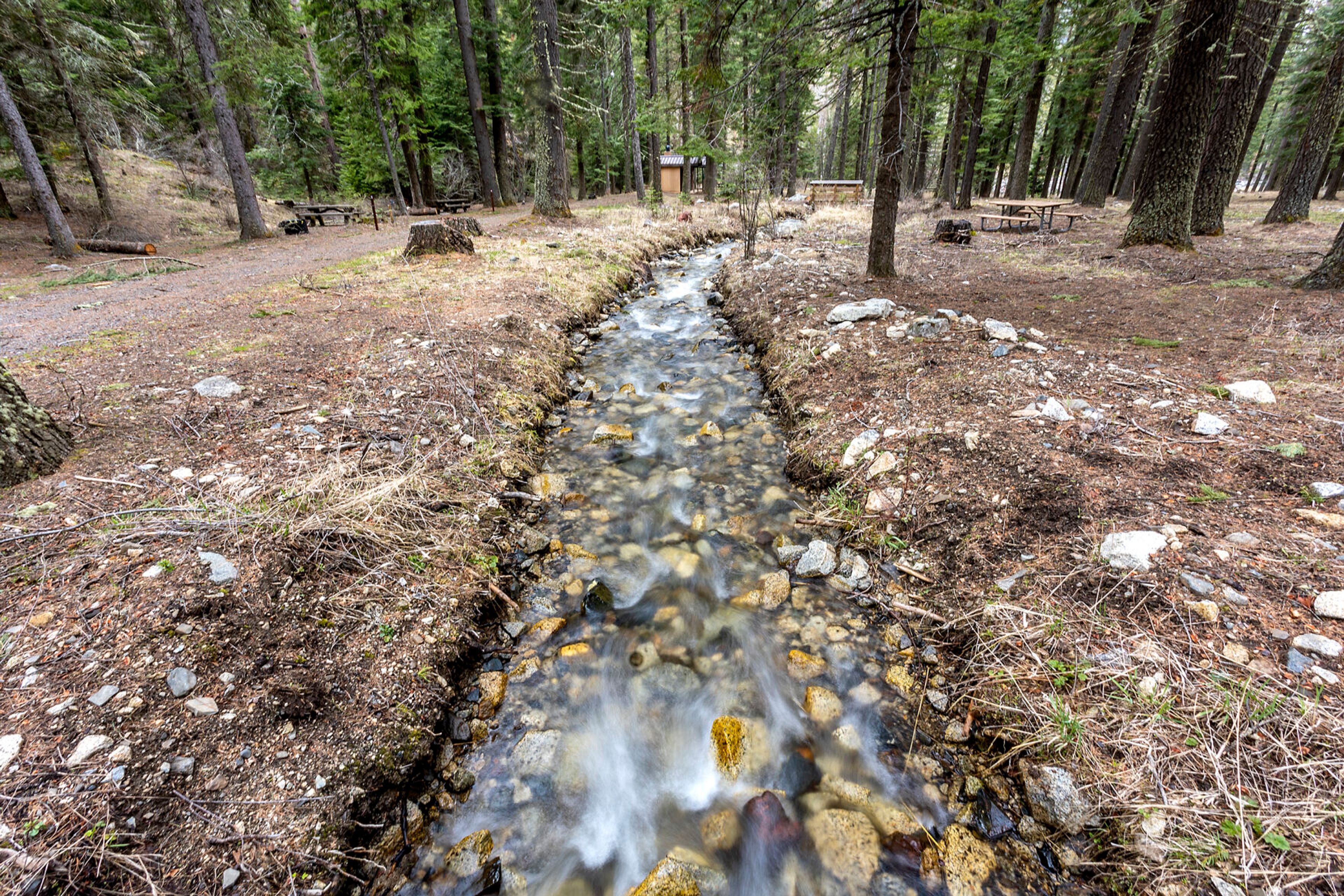 A stream flows through campsites nearby the Wallowa Lake Trailhead.