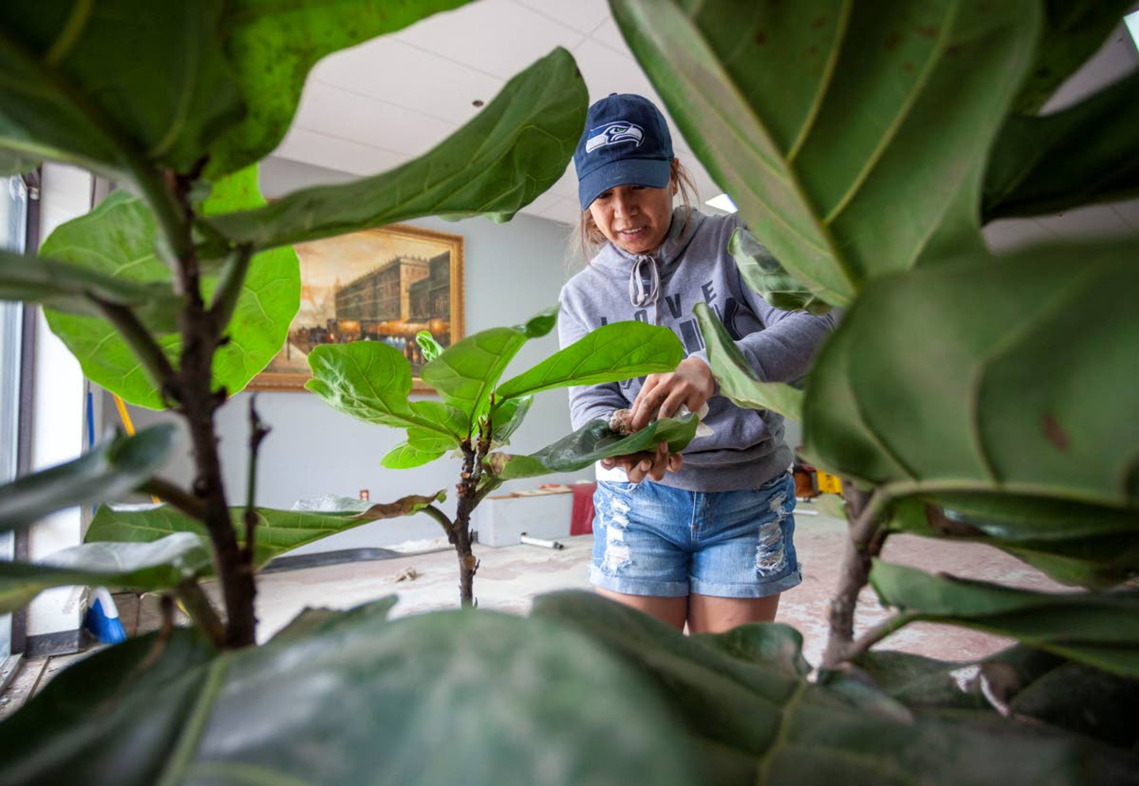 Geoff Crimmins/Daily NewsCharibelle Ladera cleans a plant after watering it at Cool Nails on Wednesday in Pullman. The business, which was damaged by floodwater in April, hopes to reopen in two or three weeks.