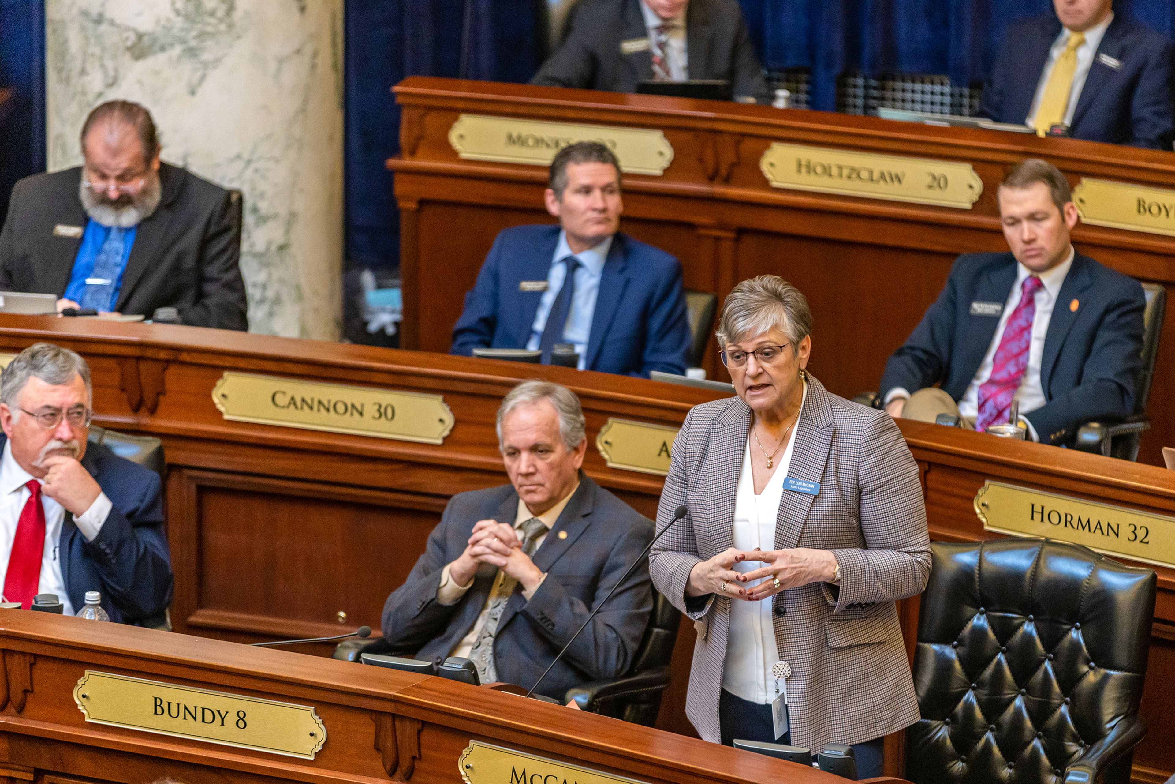 State Representative Lori McCann addresses the Idaho House of Representatives on Tuesday during a legislative session regarding a ban on transgender care for minors at the Capitol Building in Boise.